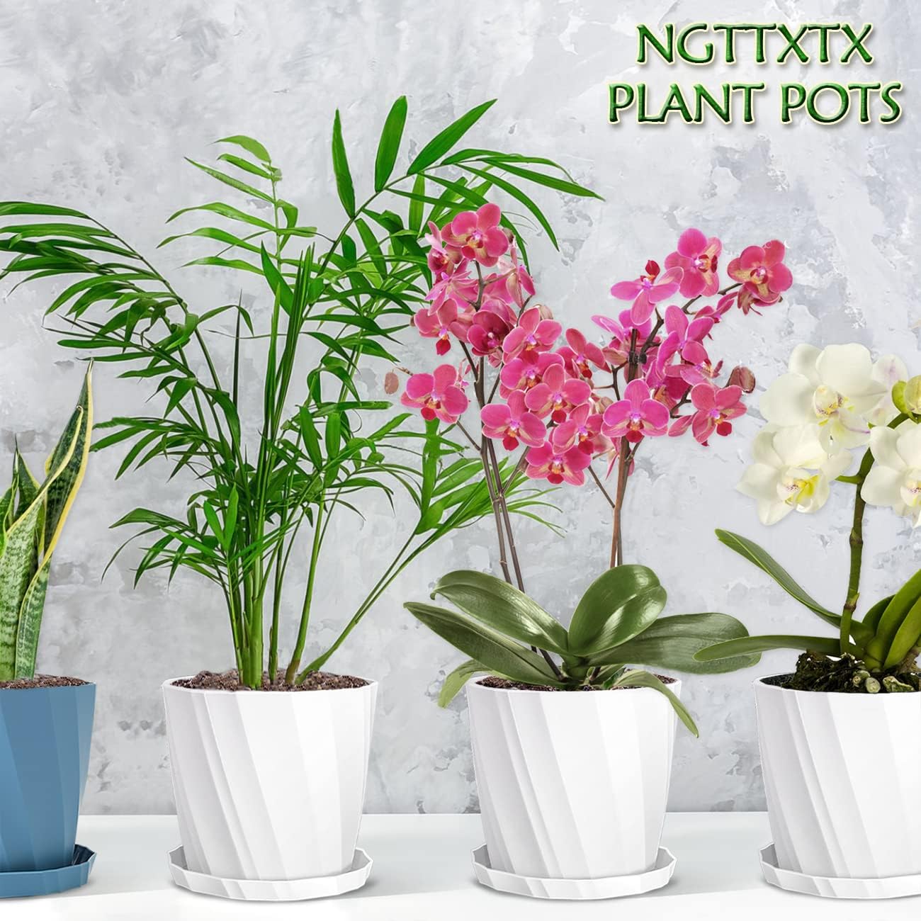 8 Inch Plant Pots with Drainage Holes and Saucers - Flower Pots for Indoor Plants - White Plastic Planters for Outdoor