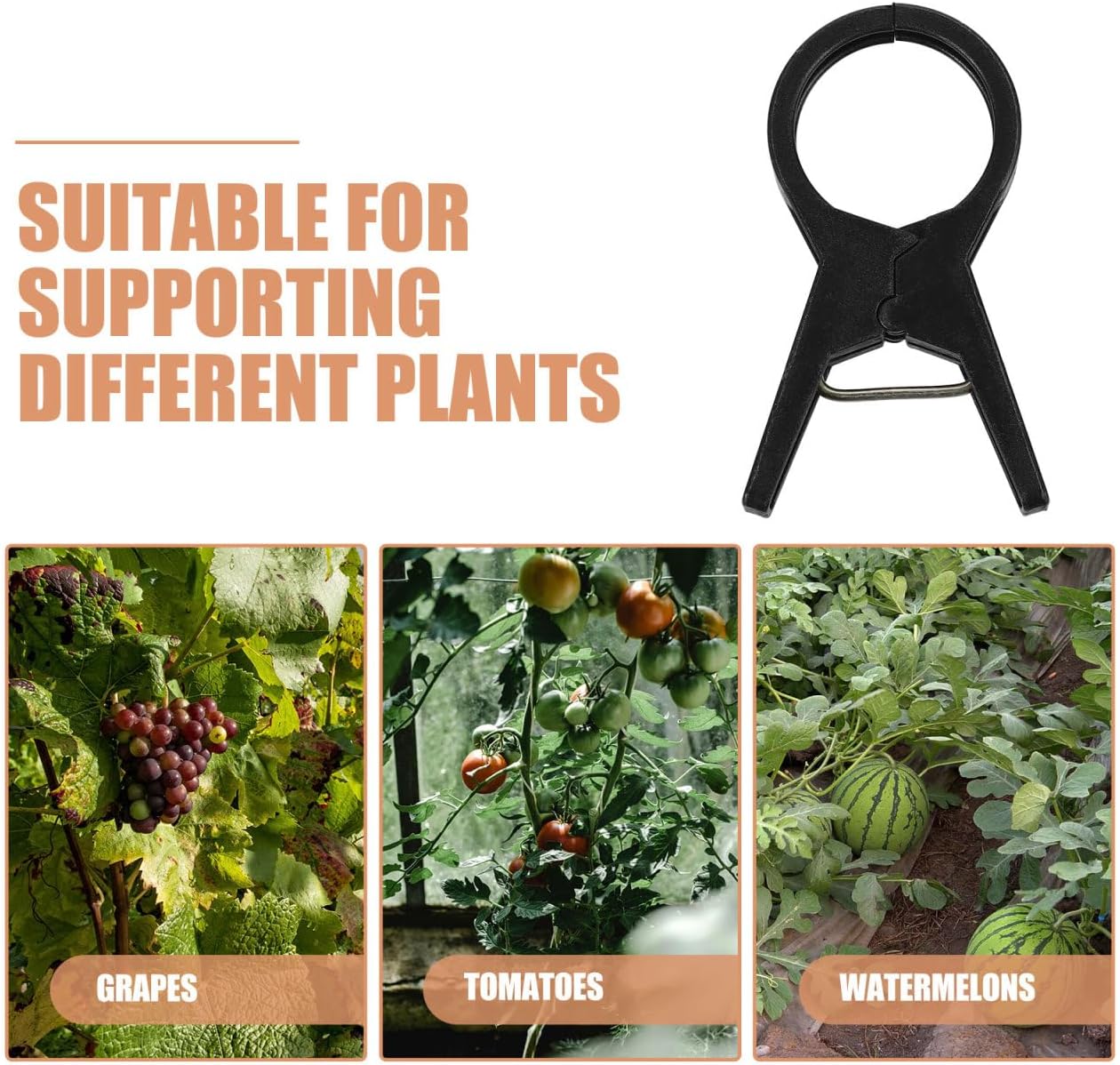 BESPORTBLE Tie the Vine Clip 100Pcs Black Plastic Garden Clips for Tomato and Cucumber Support Durable Plant Ties for