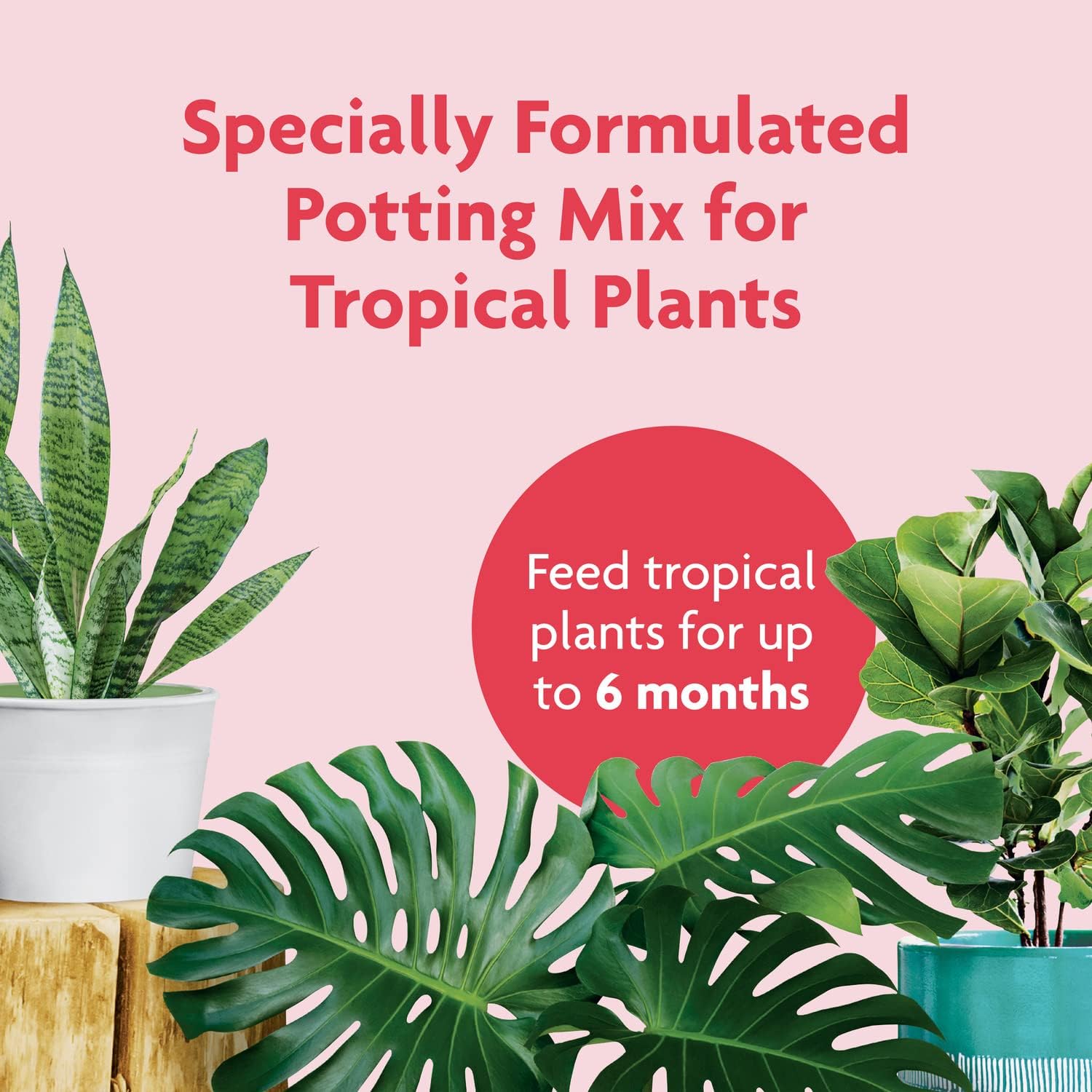 Gro Tropical Potting Mix, 6 qt. (2-Pack) | Growing Media for Tropical Plants Living in Indoor and Outdoor Containers