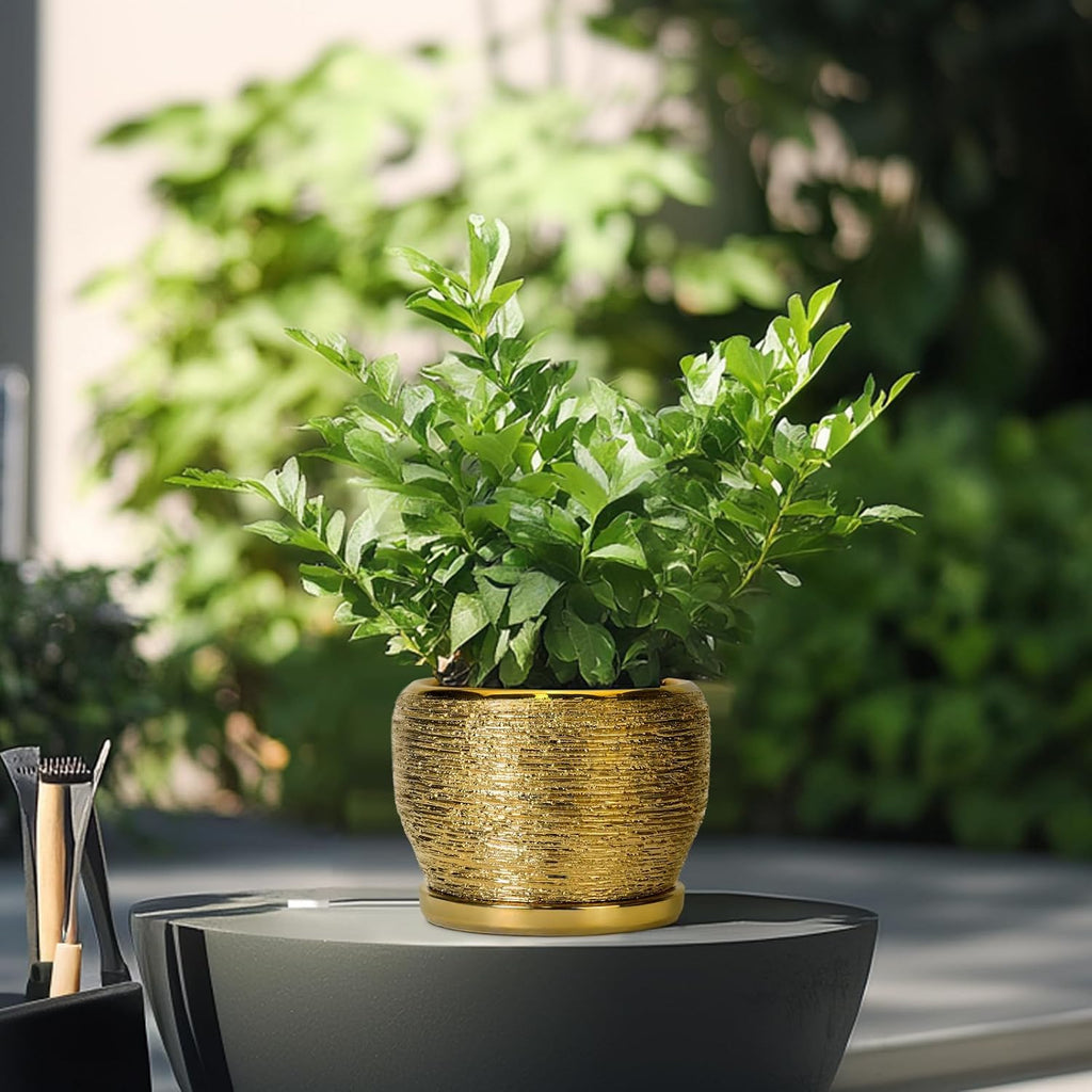 SQOWL Ceramic Planter - 6 Inch Plant Pot Indoor Outdoor, Modern Round Planter with Drainage Hole and Plant Saucer