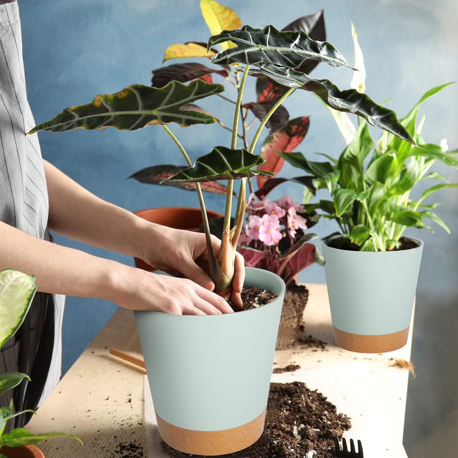 Plant Pots 8/7/6.5/6/5.5/5 Inch Self Watering Planters with Drainage Hole, Plastic Flower Pots, Nursery Planting Pot