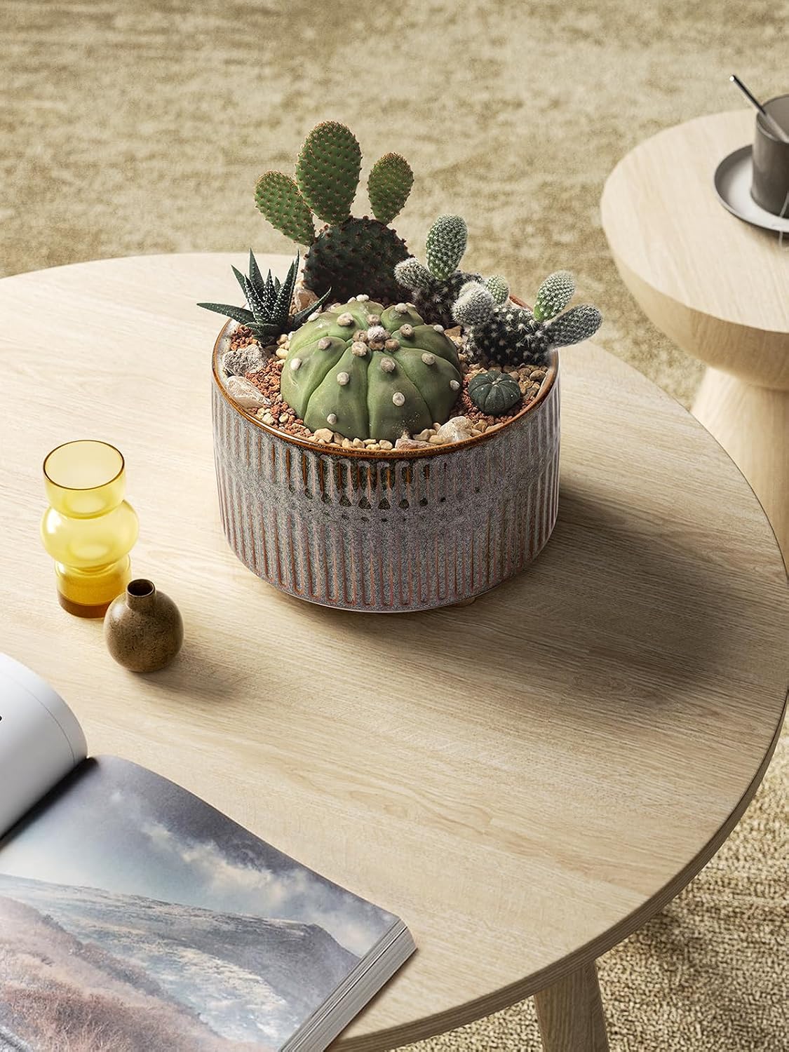 LE TAUCI Succulent Pots, 6.5+8 Inch Ceramic Pots for Plants Indoor, Shallow Round Succulent Planters with Drainage