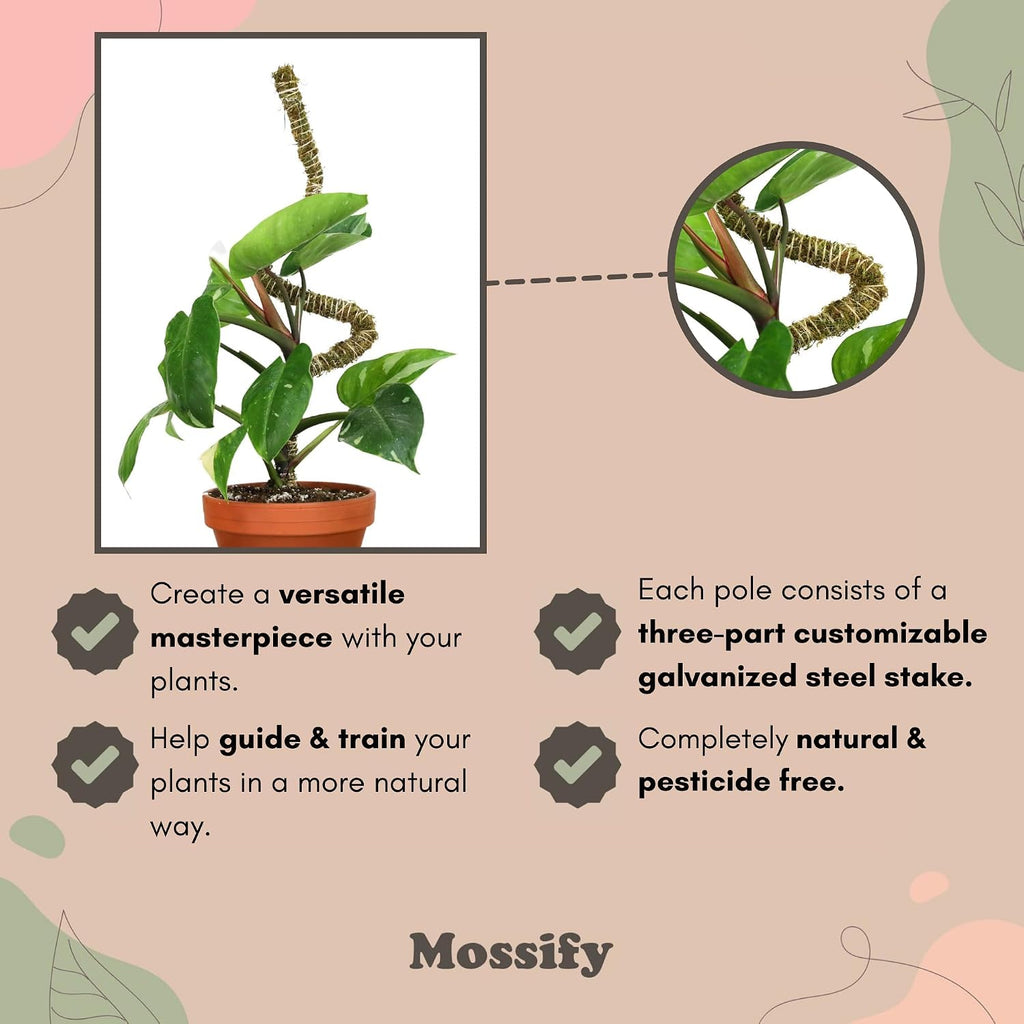 Bendable Moss Pole, 3 Pack, 16/30/42 in | Stackable & Shapeable Support for Climbing Monstera, Pothos & Philodendron