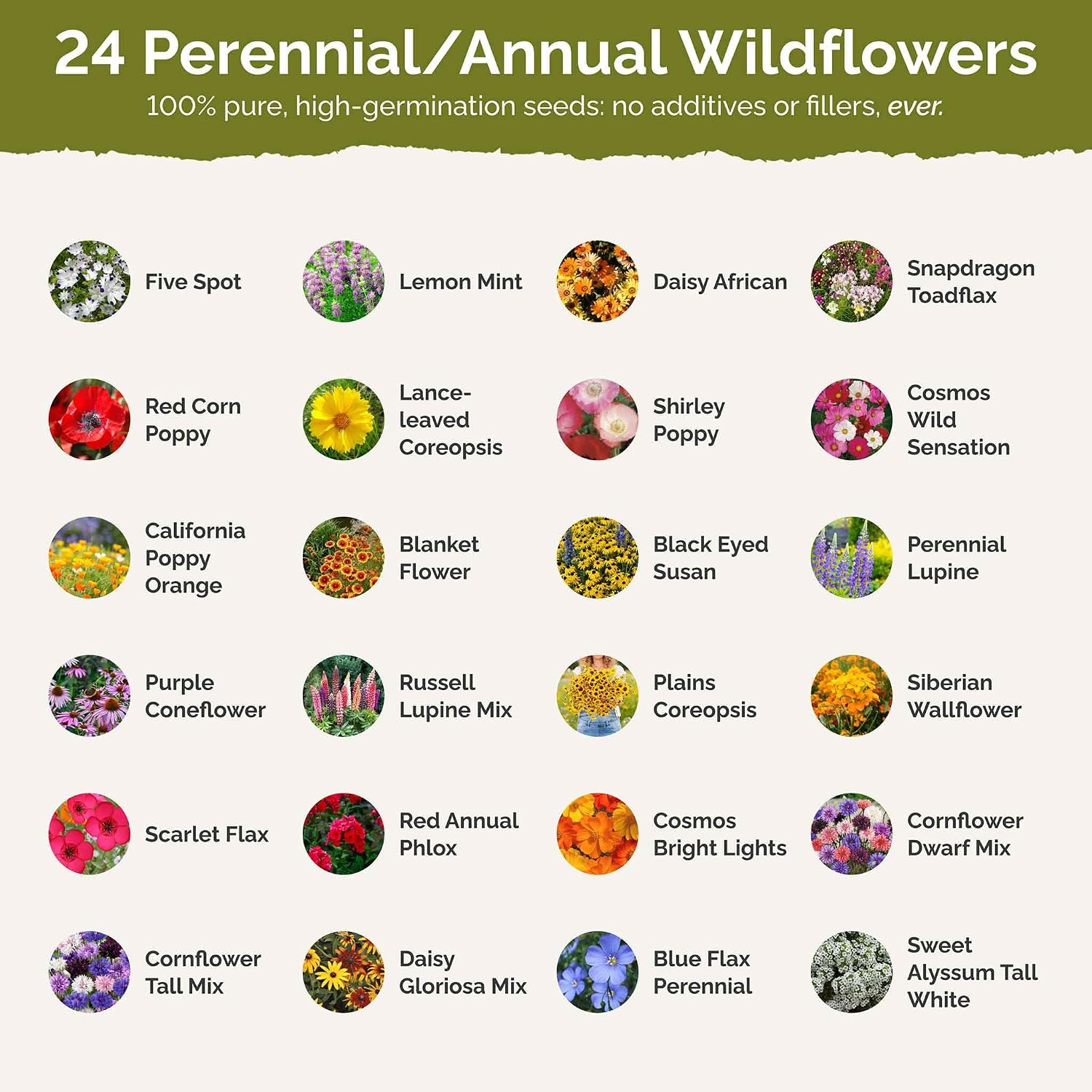 Eden Brothers Southeast Wildflower Mixed Seeds for Planting, 25 lb | 12,000,000+ Seeds with Cornflower, Blanket Flower