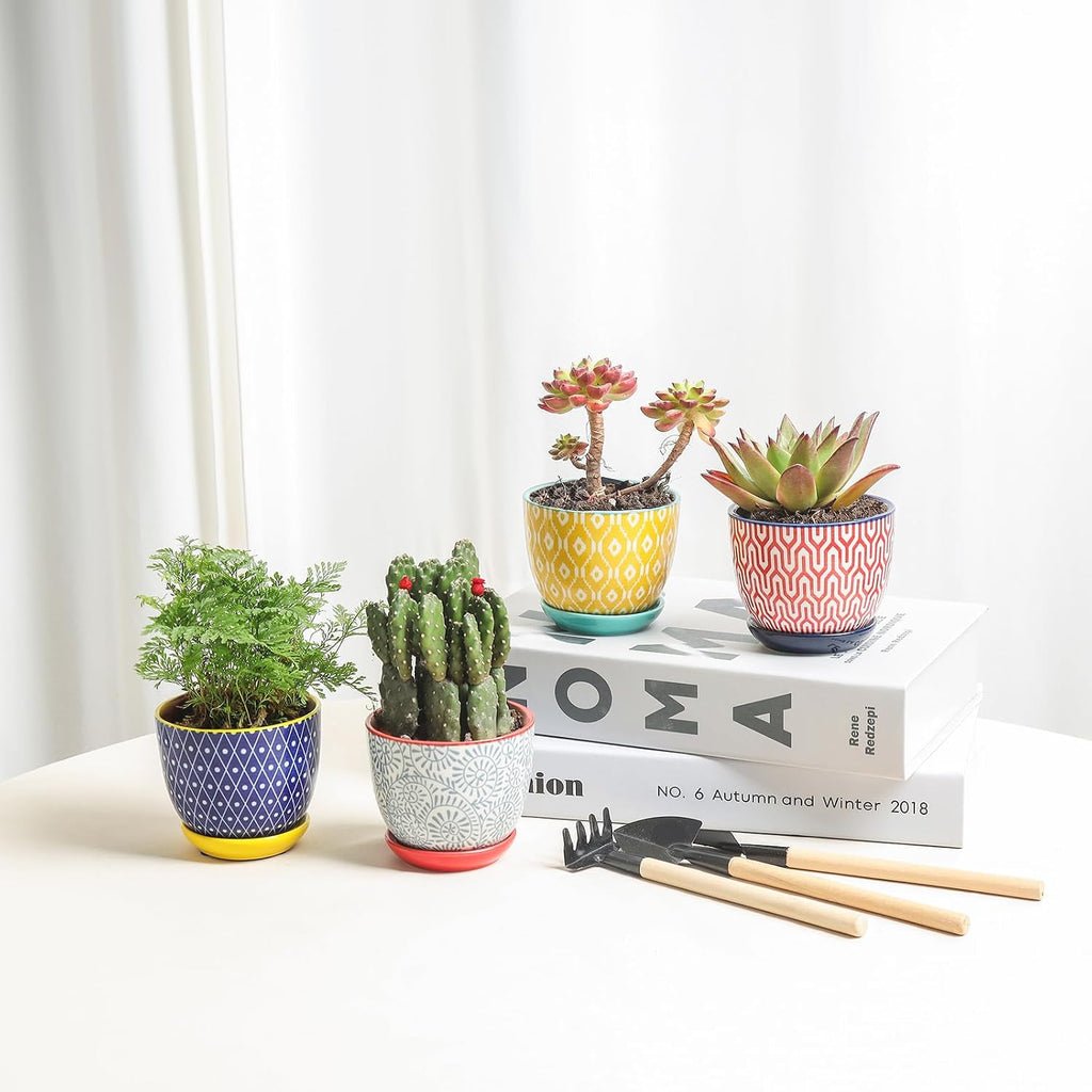 Selamica Ceramic Succulent Pots, 3.5 Inch Small Plant Pots for Indoor Plants Cactus Herbs, Succulent Planters with