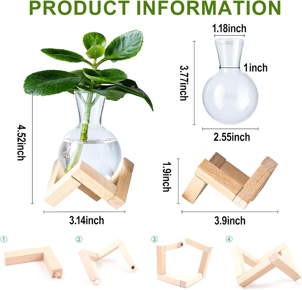Propagation Stations, Propagation vases with Wooden Stand, Small Tabletop Glass Bulb Vases for Hydroponics Plant