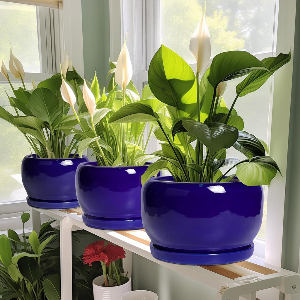 SQOWL Ceramic Plant Pot - 10 Inch Ceramic Planter for Indoor Outdoor, Round Flower Pot with Drainage Hole and Saucer