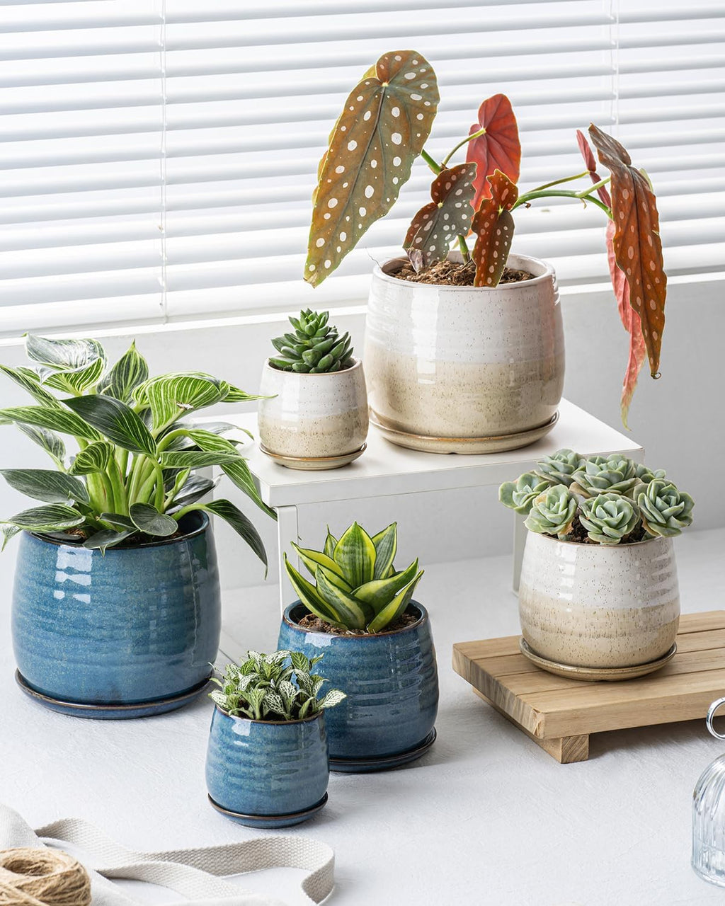 Ceramic Plant Pots with Drainage Holes and Saucers, Indoor Flower Pots for Plants Set of 3, 3.4+4.7+6.1 inch Cute
