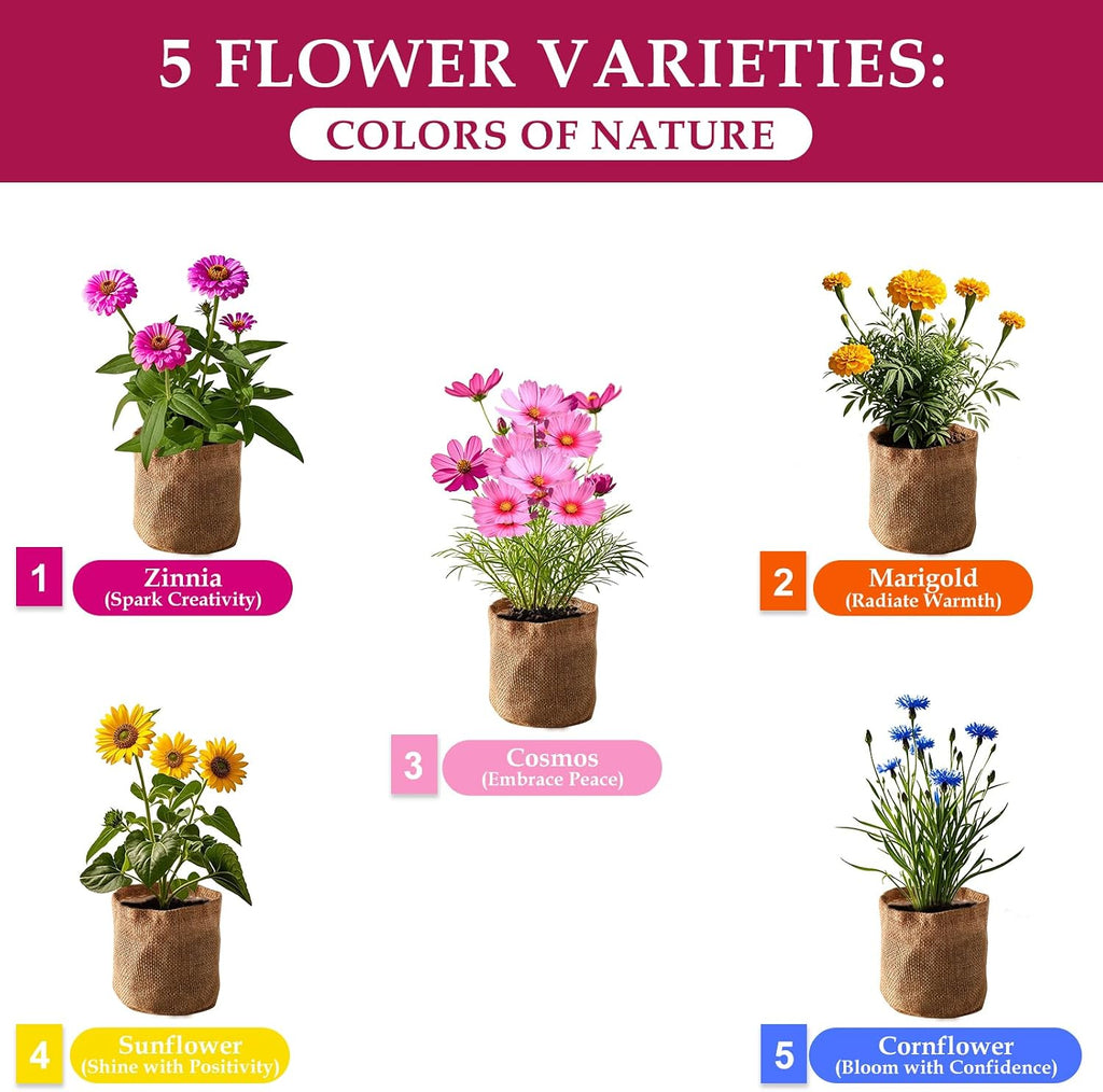 5 Indoor Flowers Growing Kit for Beginners, Complete Planting Starter Set with Zinnia, Cosmos, Sunflower, Marigold
