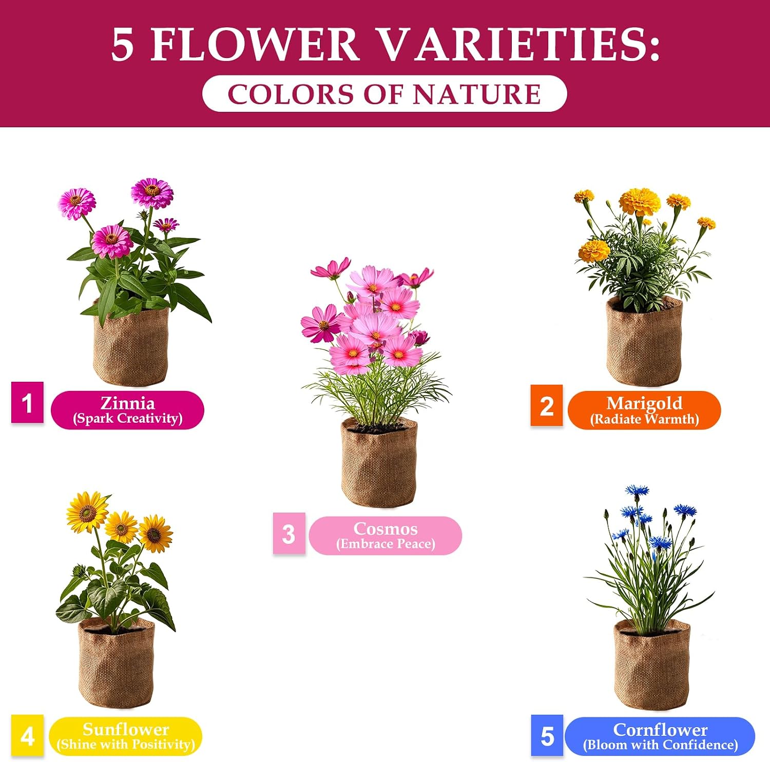 5 Indoor Flowers Growing Kit for Beginners, Complete Planting Starter Set with Zinnia, Cosmos, Sunflower, Marigold