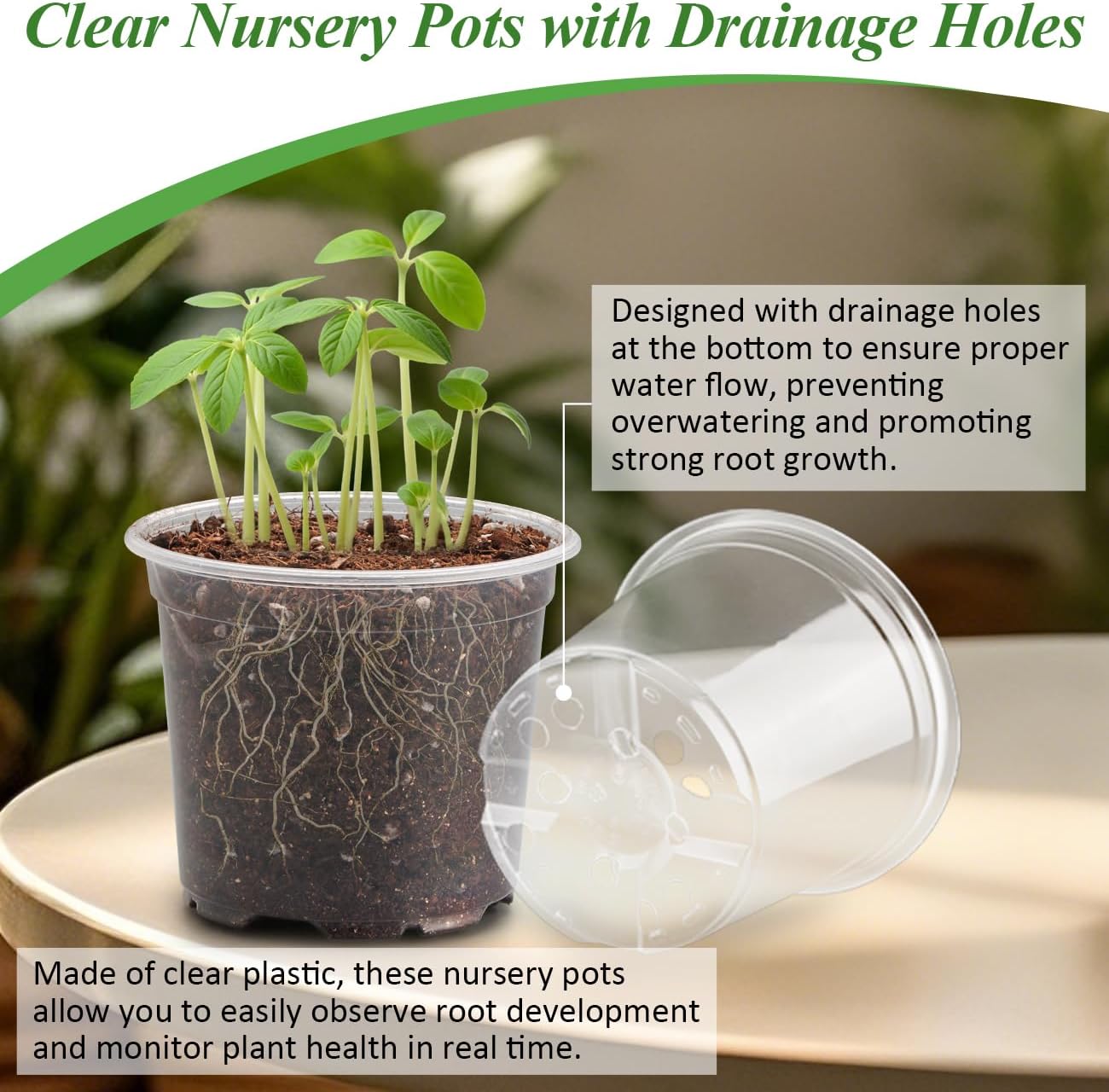 RooTrimmer 60 Pack Clear Nursery Pots with Humidity Domes, 4 Inch Plastic Plant Pots with Drainage Holes for Seedlings