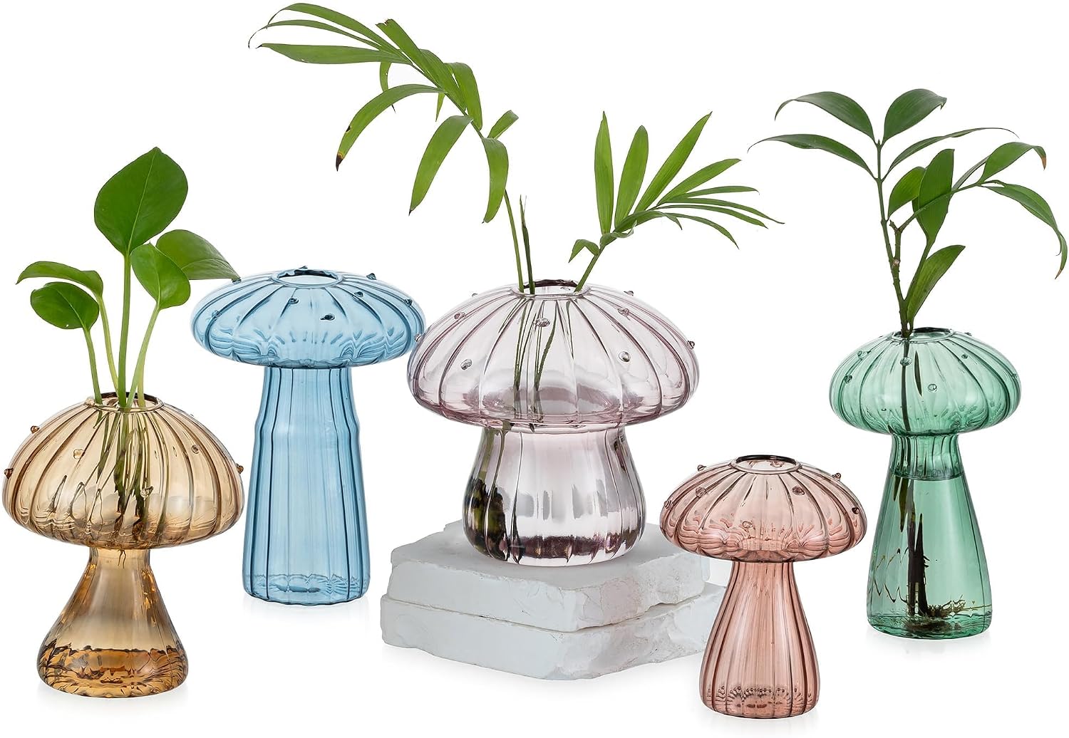 Glasseam Mushroom Plant Propagation Stations: 5 Pcs Glass Propagation Vases | Colored, Hand-Blown, Small Hydroponic