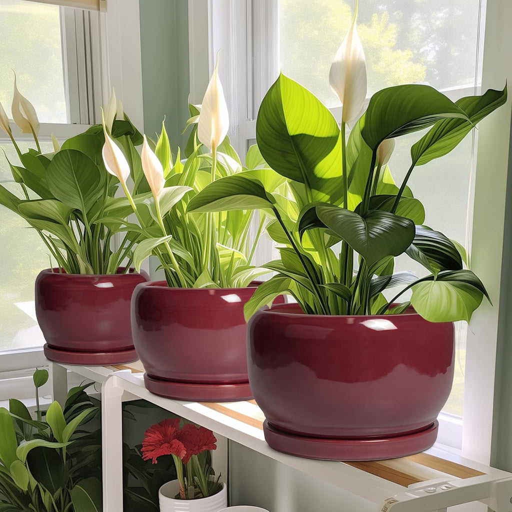 SQOWL Ceramic Planter - 8 Inch Plant Pot with Drainage Hole and Saucer, Round Planter for Indoor Outdoor Plants, Modern