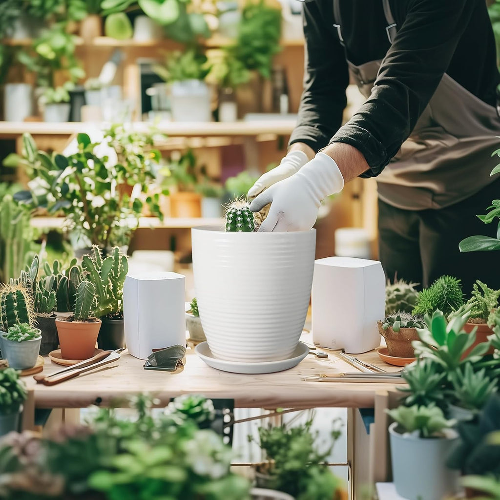 8 Inch Ceramic Planter Pot Round Plant Pot with Drainage Hole and Saucer Modern Flower Pot for Indoor Outdoor Plants