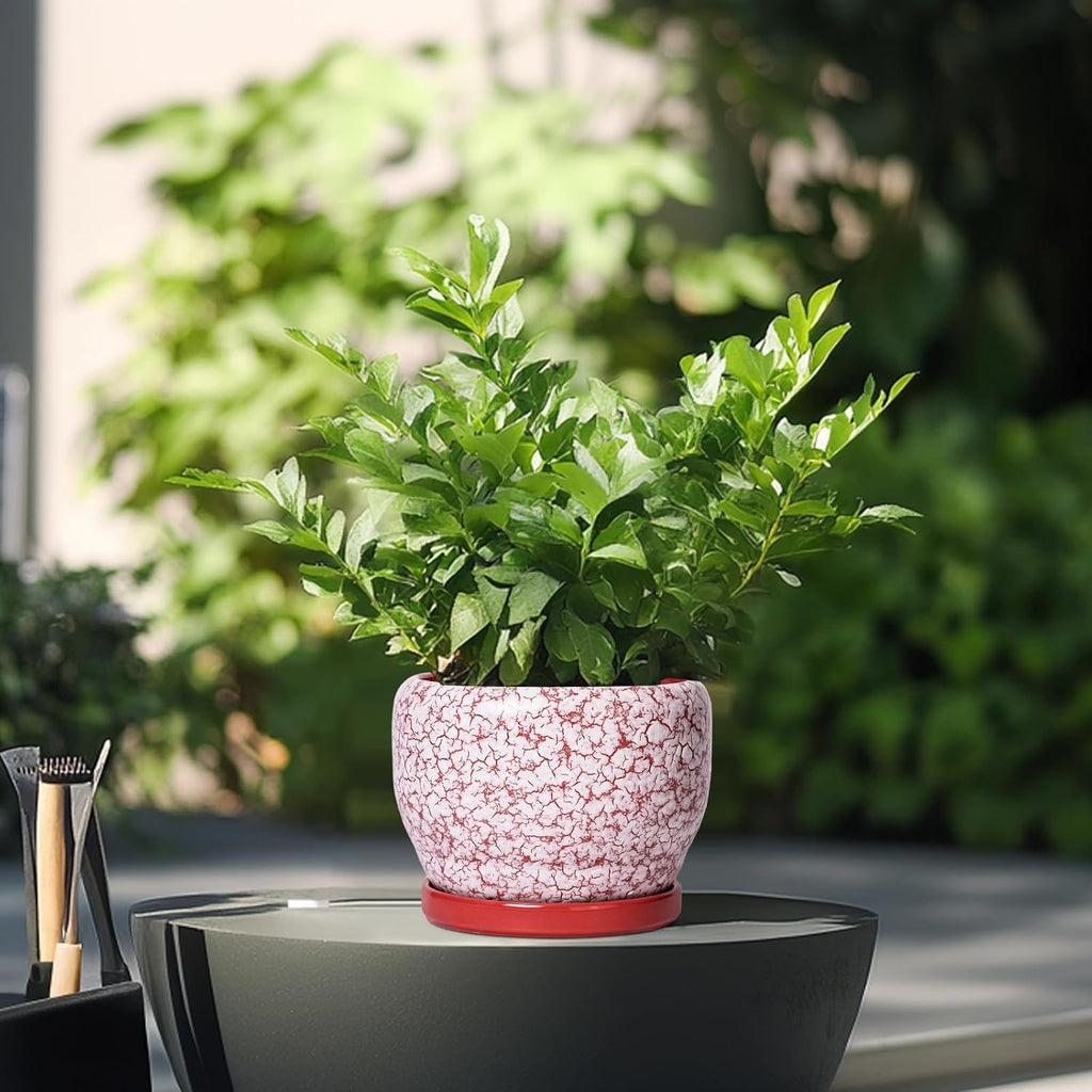 SQOWL 6 Inch Plant Pot - Ceramic Planter for Indoor Outdoor, Round Decorative Plant Pot with Drainage Hole and Saucer