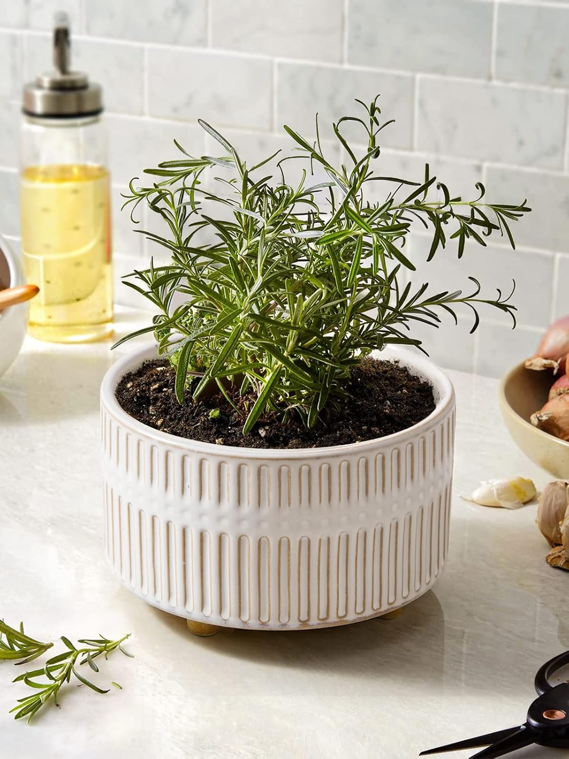 LE TAUCI Succulent Planters, 6.5+8 Inch Ceramic Indoor Plant Pot with Drainage Hole, Shallow Round Succulent Pots, Set