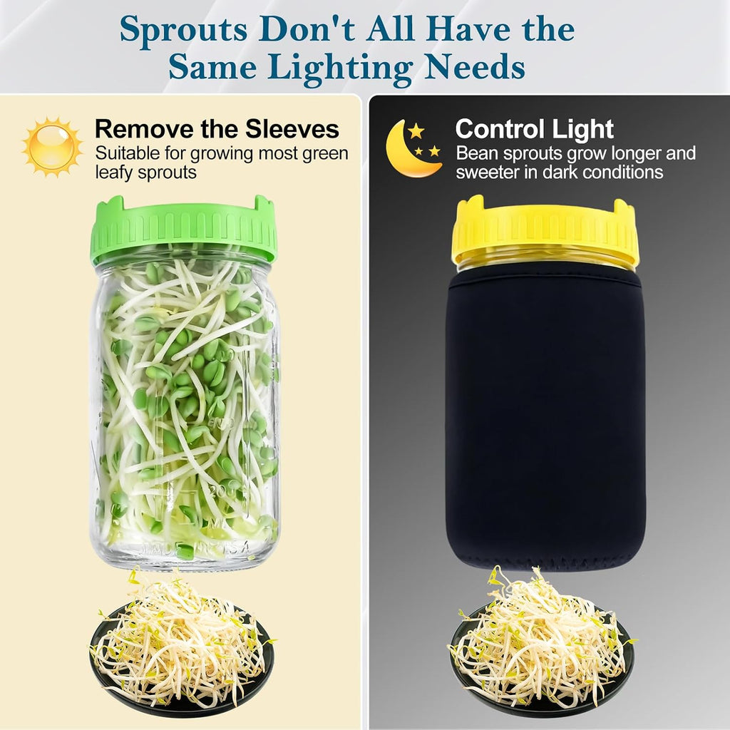 Seed Sprouting Kit, 2 Wide Mouth Mason Jars with Sprout Lids, Green Onion Regrower, Stainless Steel Stand, Drain Tray