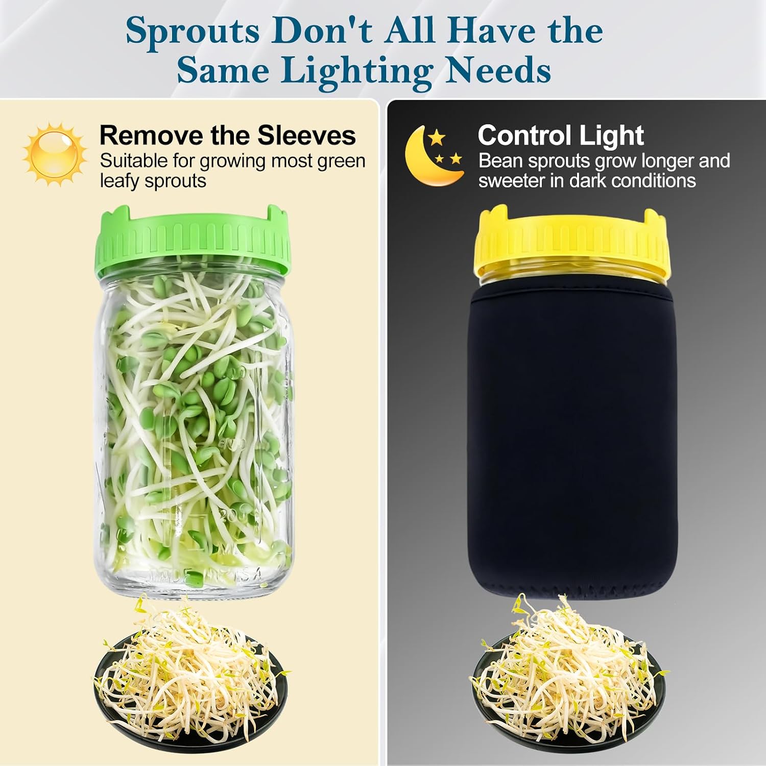 Seed Sprouting Kit, 2 Wide Mouth Mason Jars with Sprout Lids, Green Onion Regrower, Stainless Steel Stand, Drain Tray