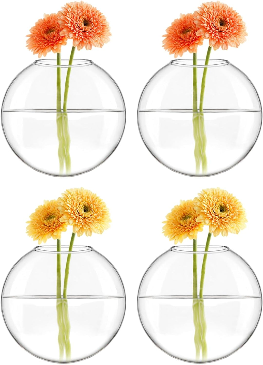 Mkono Wall Propagation Planters, 4 Pack Oblate Hanging Plant Holder Vase | Glass Terrariums Station, Hydroponic Indoor