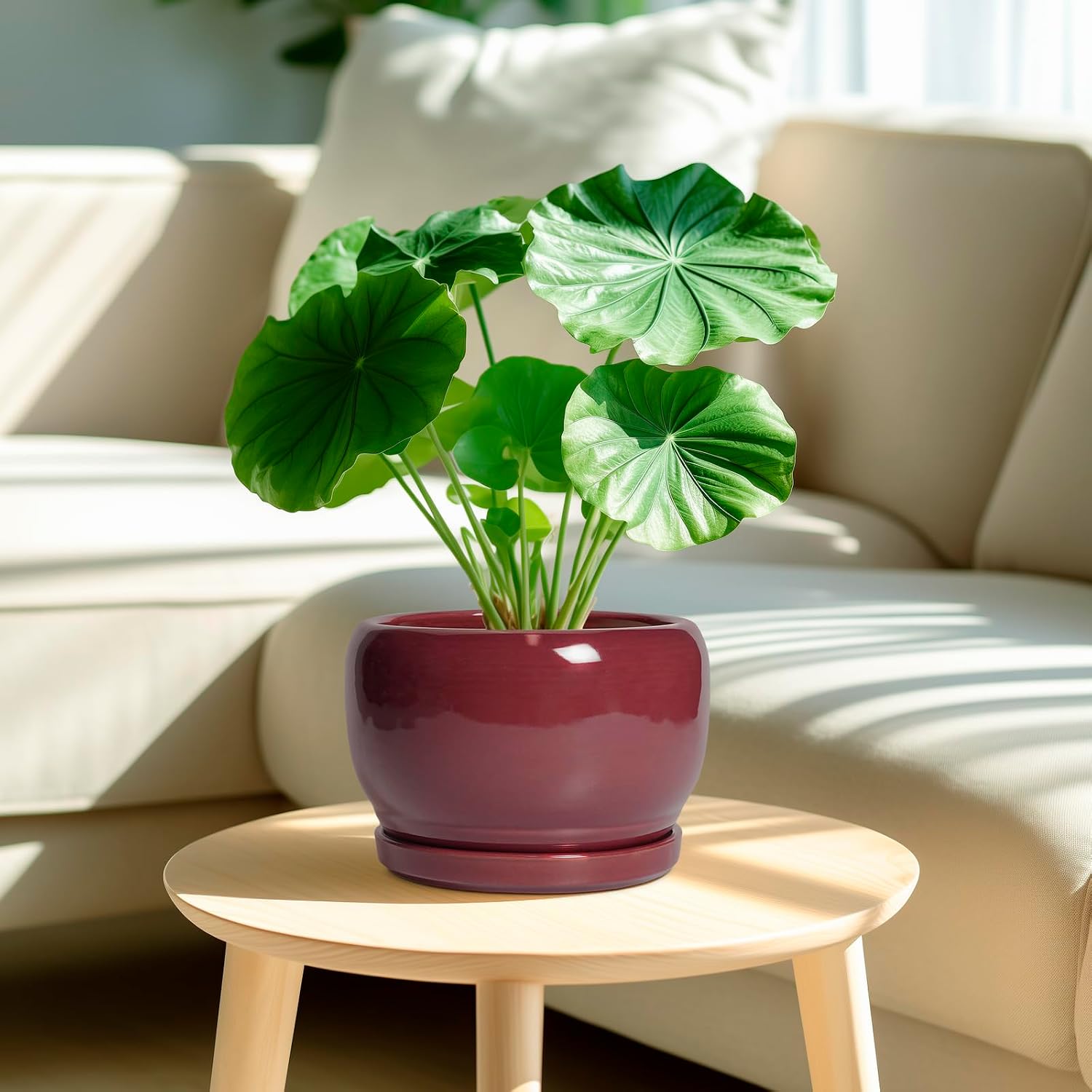 SQOWL Ceramic Planter - 8 Inch Plant Pot with Drainage Hole and Saucer, Round Planter for Indoor Outdoor Plants, Modern