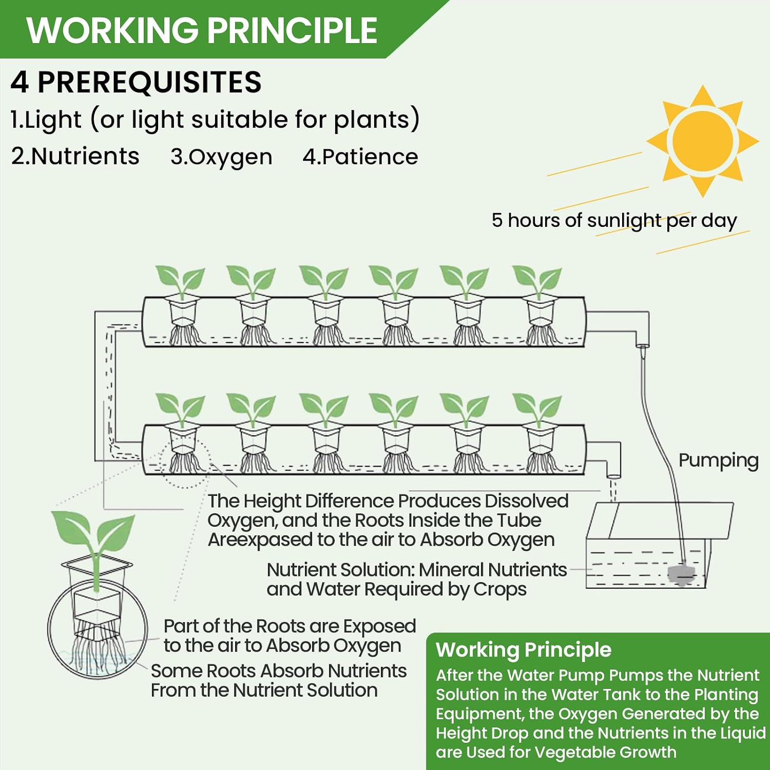 Upgraded Hydroponics Growing System, 36 Plant Sites, 1 Layers 4 Food-Grade PVC-U Pipes,hydroponics Growing System Kits