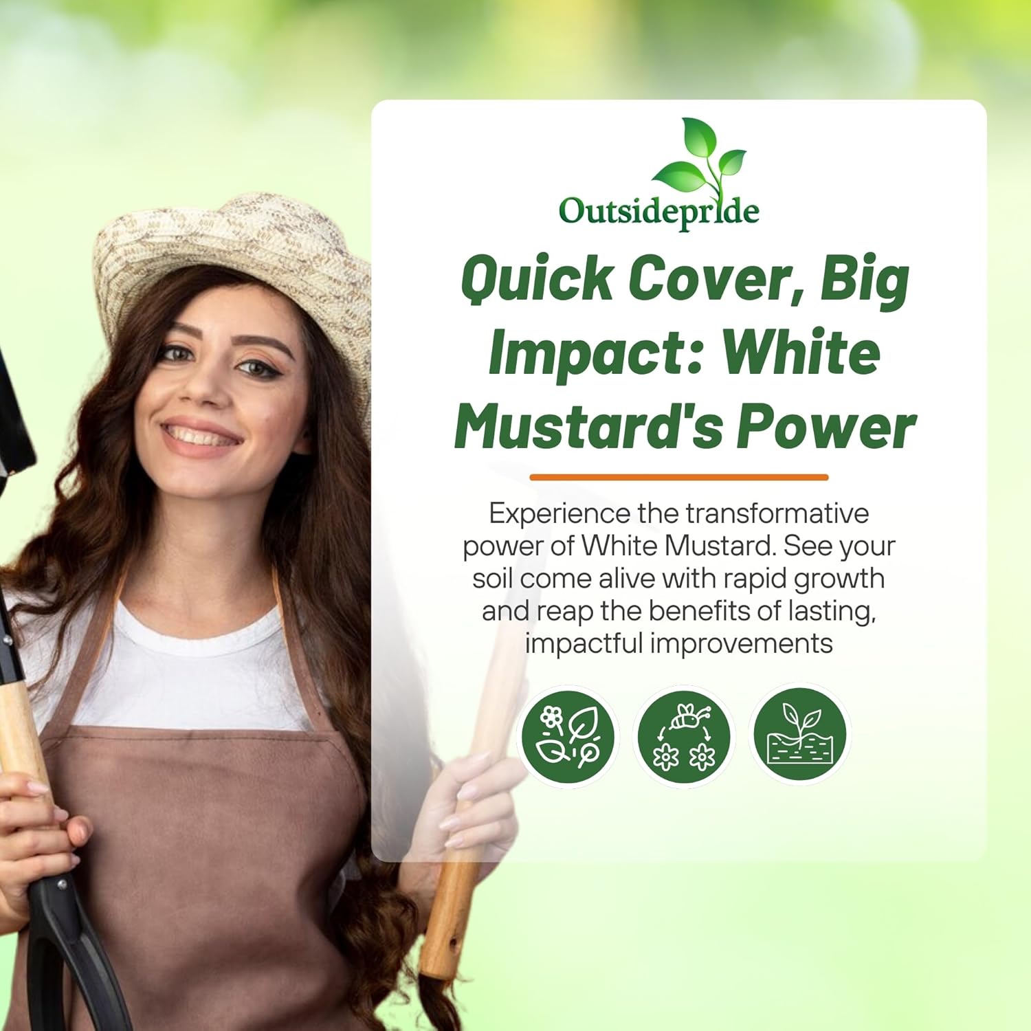 Outsidepride White Mustard Seeds for Planting - 5 lb Annual Cover Crop Seeds w/Deep Root System, High Protein Forage