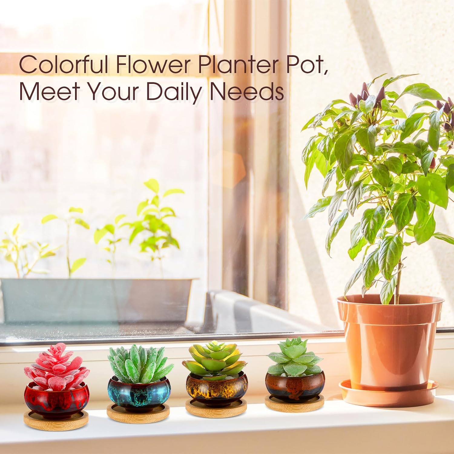 48 Pcs Ceramic Succulent Pots 2.5 Inch Small Plant Pots Indoor with Drainage and Bamboo Saucers Colorful Succulent