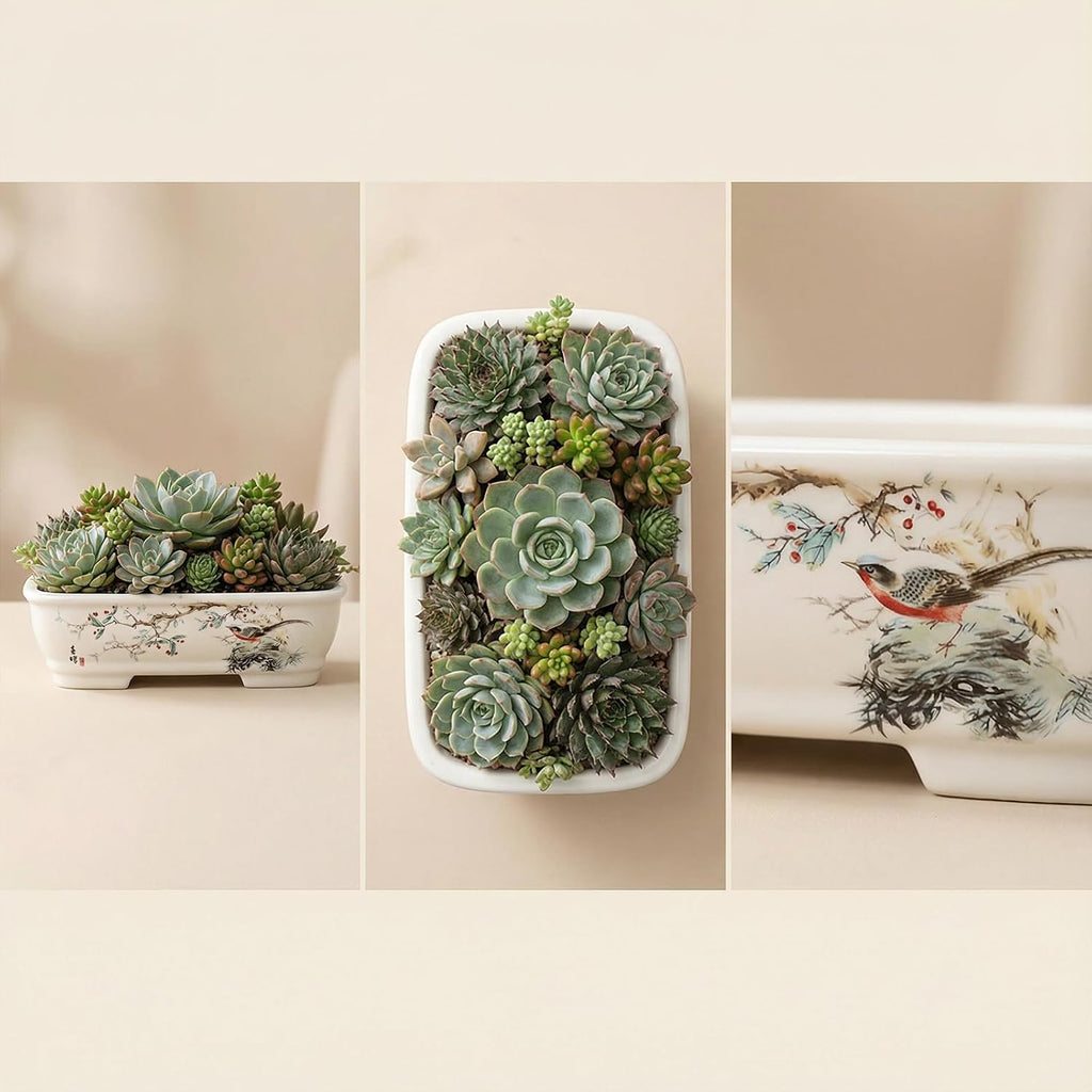 8" Bonsai Pots with Tray, Rectangular Planter in Blue & White | 8" glazed ceramic bonsai pots with tray, large shallow
