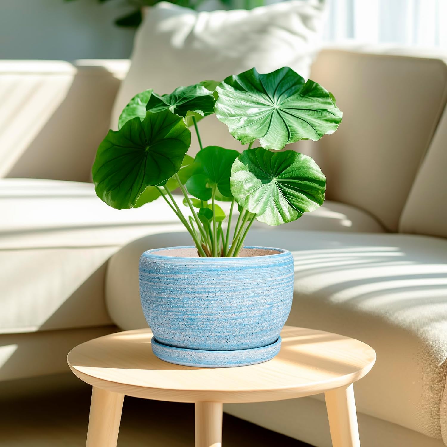 SQOWL Ceramic Planter - 8 inch Pot for Plants Indoor Outdoor, Modern Ceramic Flower Pot with Drainage Hole and Saucer