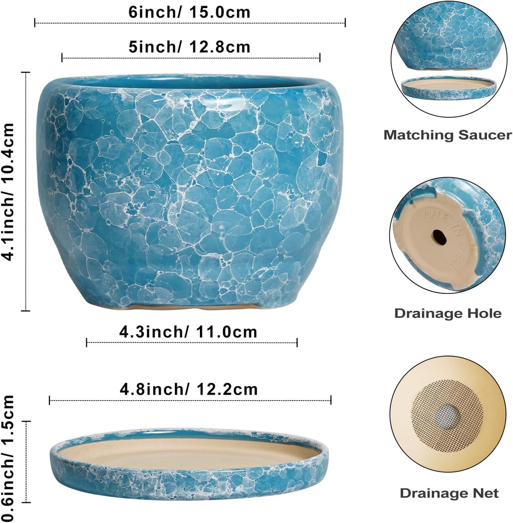 SQOWL 6 Inch Plant Pot - Ceramic Indoor Planter with Drainage Hole and Saucer, Decorative Ceramic Flower Pot Outdoor