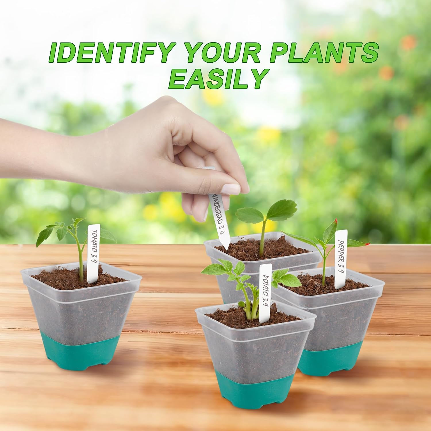 Sankoly 30 Packs Clear Nursery Pots with Plant Repotting Mat, Gloves, Labels,Humidity Domes,Seedling Tools, 3 Inch