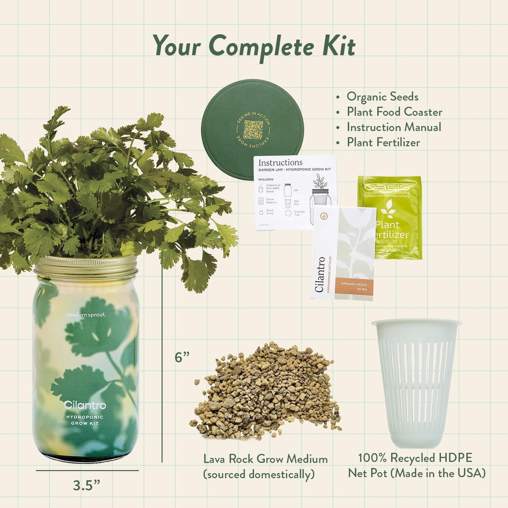 Modern Sprout MasonJar+Replant Kit-Self-Watering Hydroponic System-Cilantro | Growing System Kit w/Organic Herb Seeds