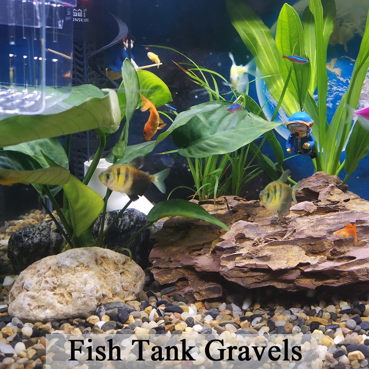 FANTIAN 10 lbs Pea Gravel for Landscaping,1/4 Inch Aquarium Gravel | Decorative Pebbles River Rocks for Fish Tank