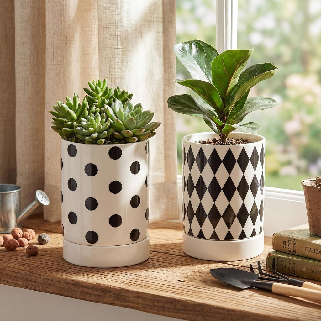 Ceramic Plant Pots Set of 2, 6 Inch Flower Pots with Drainage Hole Modern Polka Dot Diamond Planter for Indoor Outdoor