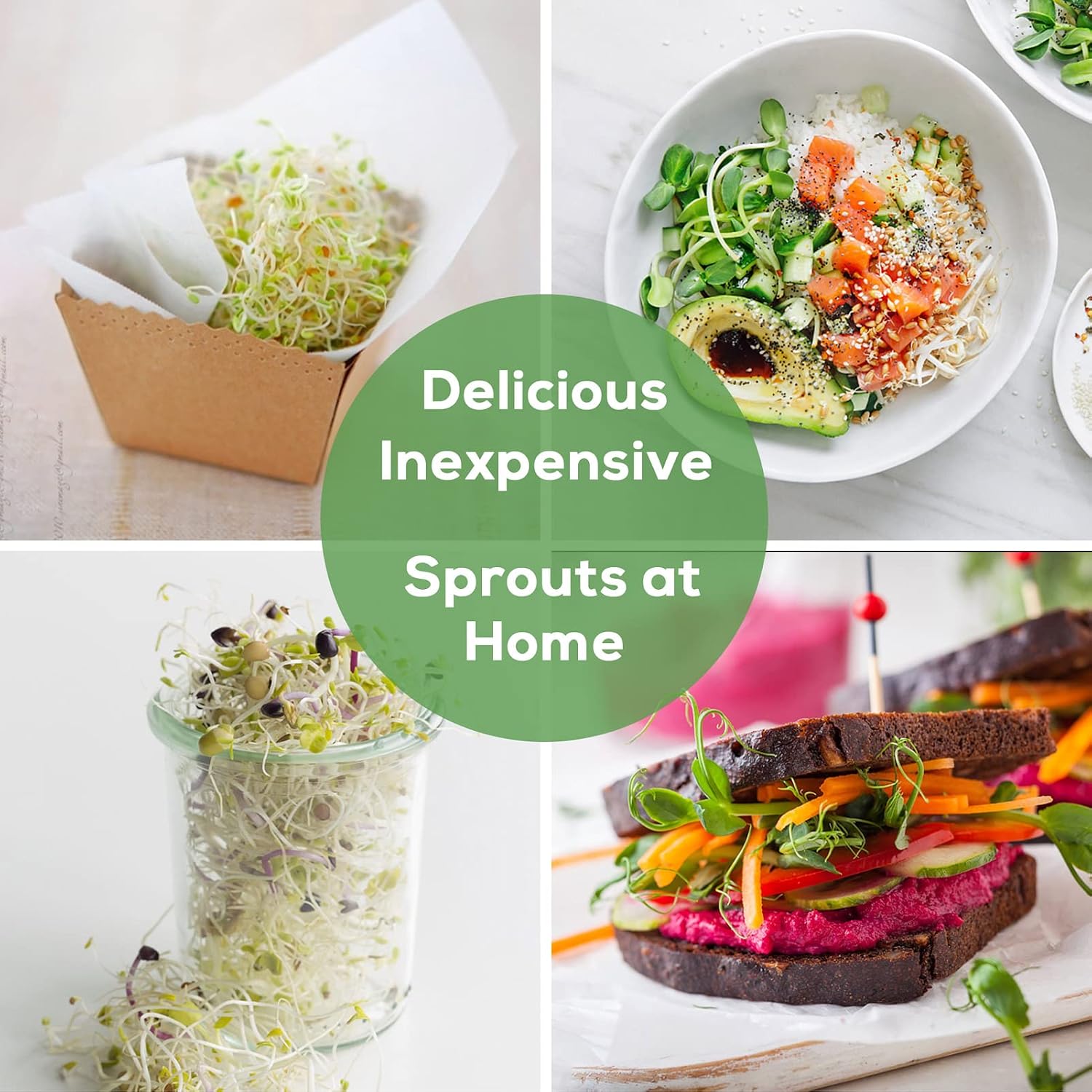 Seed Sprouting Jar Kit with Wide Mouth Mason Jars, Premium Stainless Steel Screen Sprout Lids, Blackout Sleeves, Tray