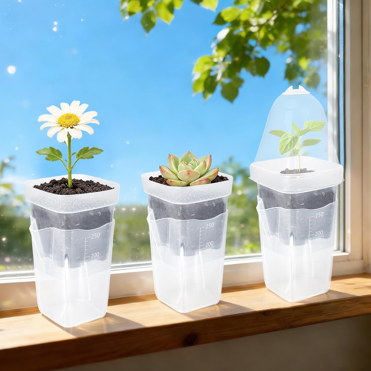 12 Pack 2.5" Self Watering Propagation Pots with Humidity Dome, Clear Plastic Seed Starter Cups, for Seedlings