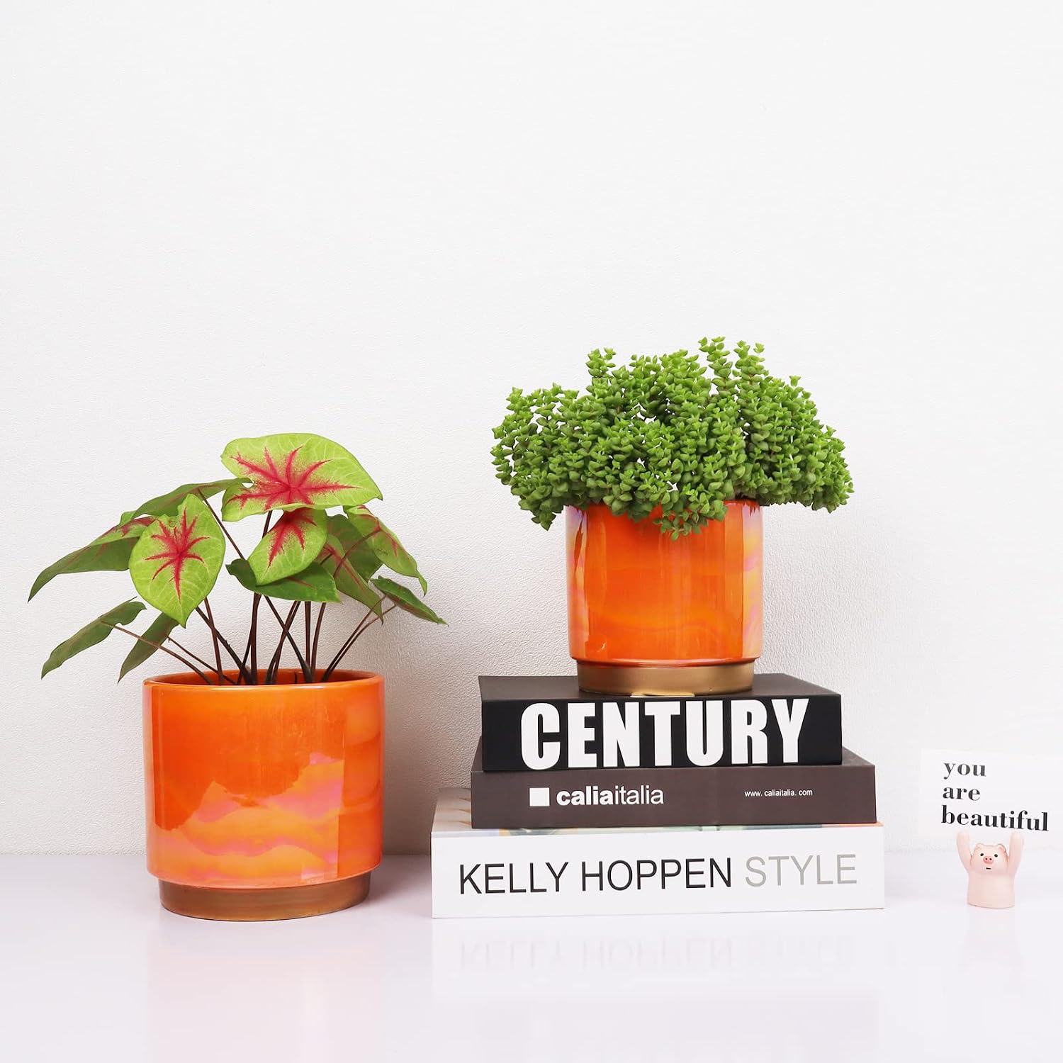 Gepege Ceramic Plant Pots for Indoor Plants, Planters with Drainage Holes | Ceramic Pots with Removable Rubber