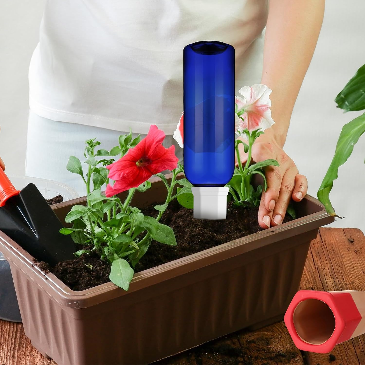 SiliFine 6 Sets Terracotta Watering Spikes,Blue and Mixed Color | 26 oz Bottles for Slow Release Watering, Self