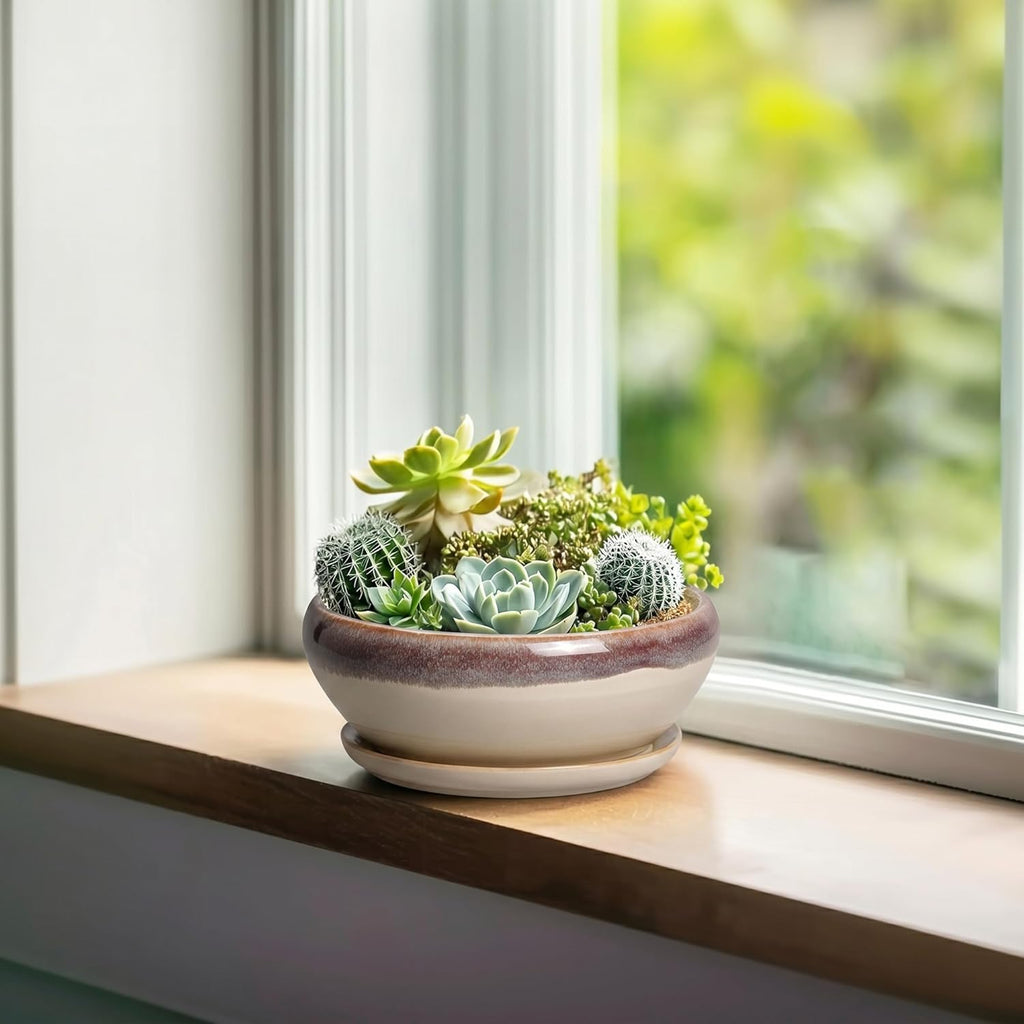 SQOWL Small Bonsai Pots - 6 Inch Ceramic Plant Pots for Succulents, Shallow Planter with Drainage Hole and Saucer