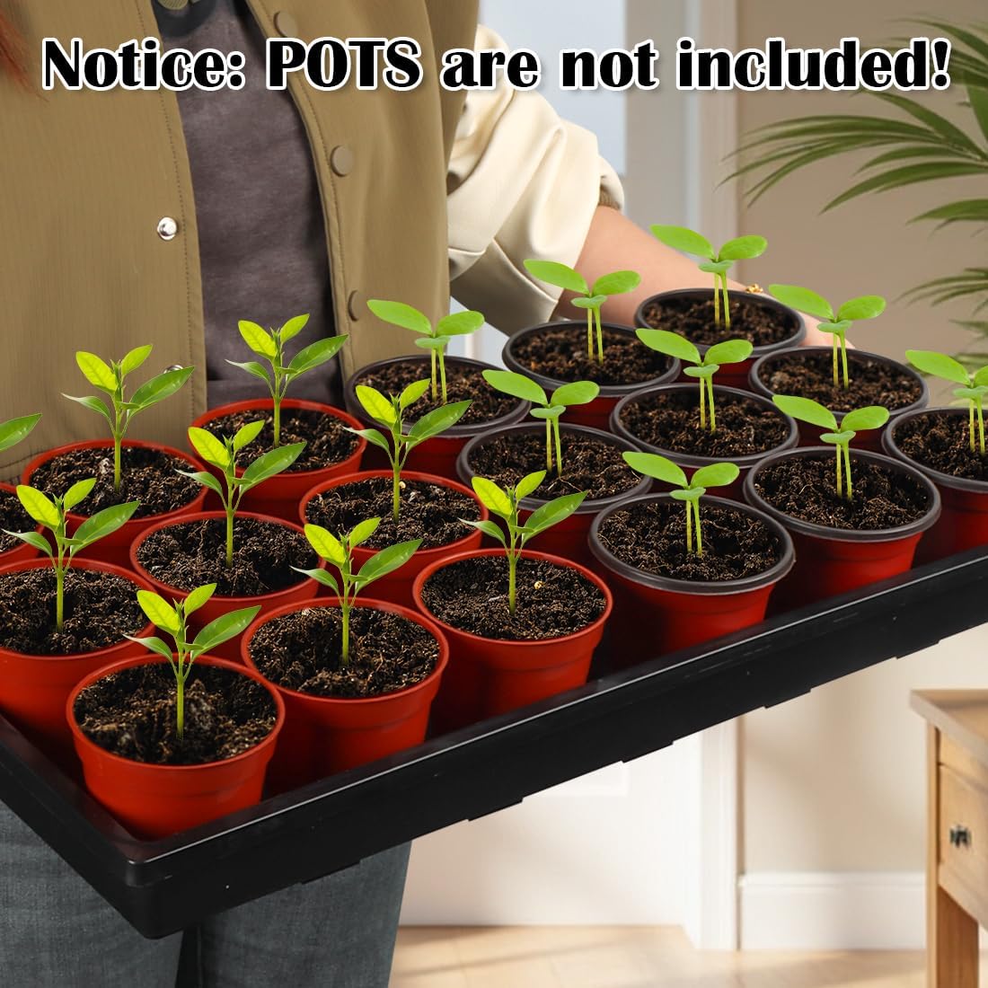 RooTrimmer 1020 Nursery Pot Trays 5 Pack, Plastic Flat Seed Starter Tray, Reusable Seedling Starting Tray for Holding