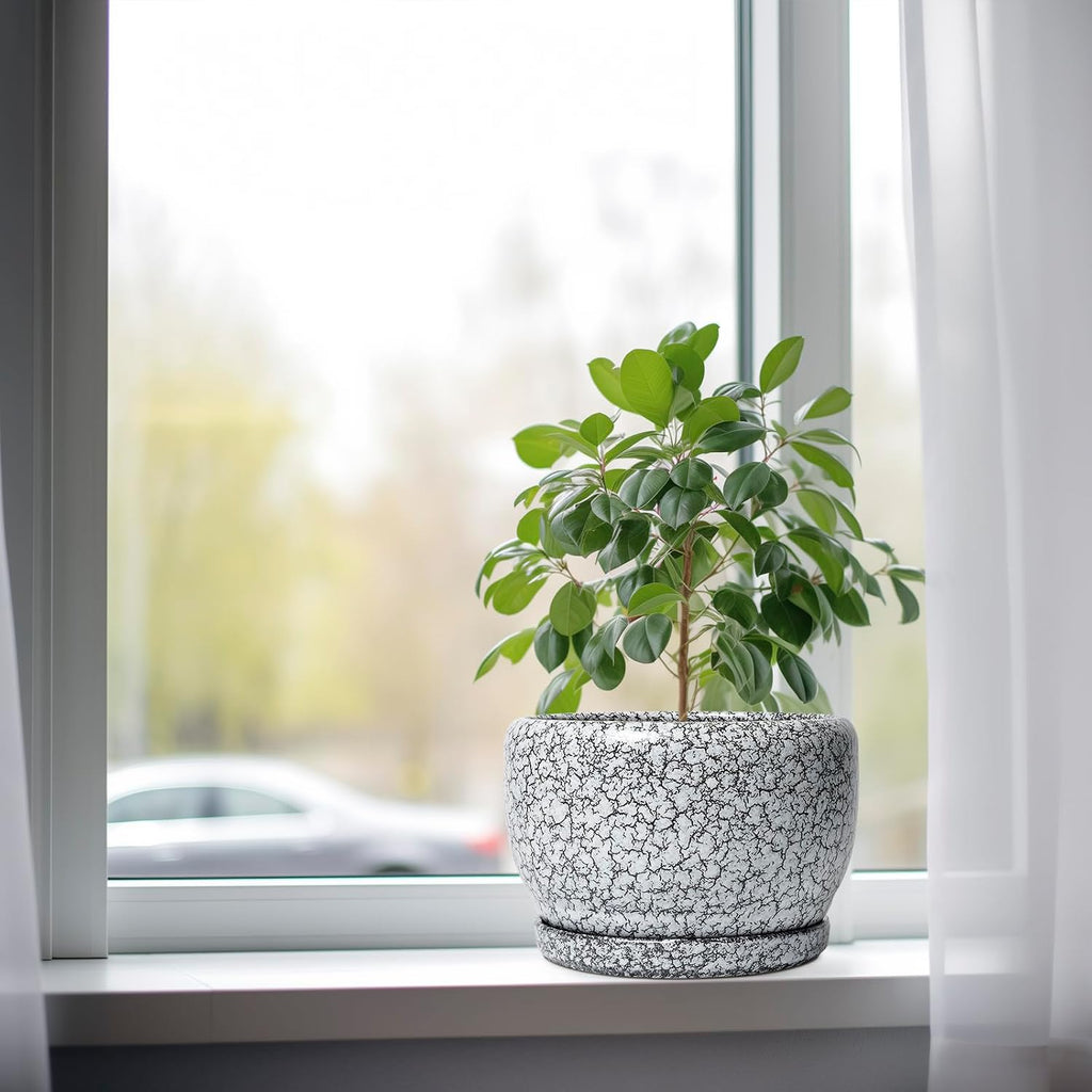 SQOWL 8 inch Plant Pot - Ceramic Planter with Drainage Hole and Saucer, Round Flower Pot for Indoor Plants, Decorative