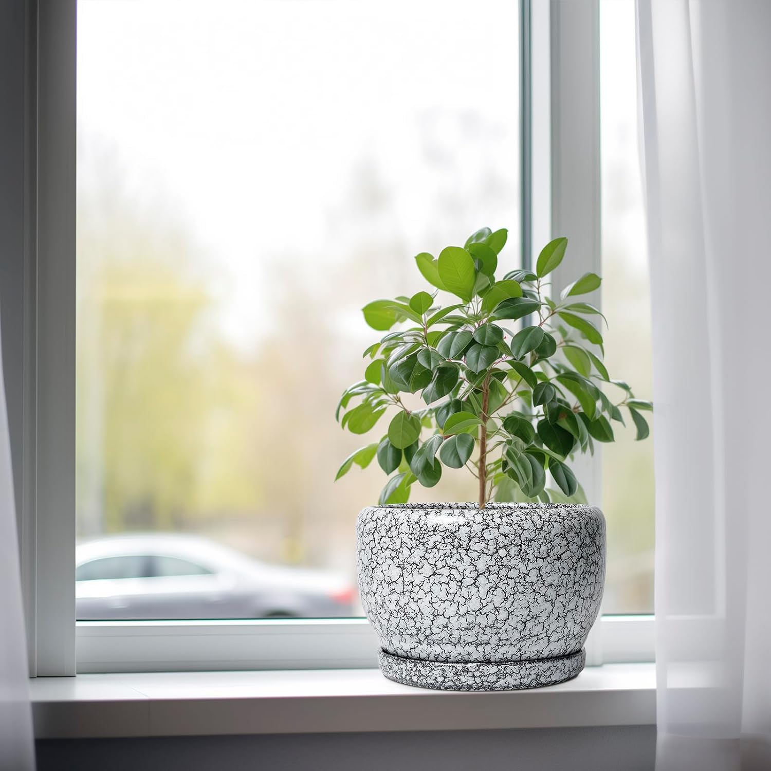 SQOWL 8 inch Plant Pot - Ceramic Planter with Drainage Hole and Saucer, Round Flower Pot for Indoor Plants, Decorative