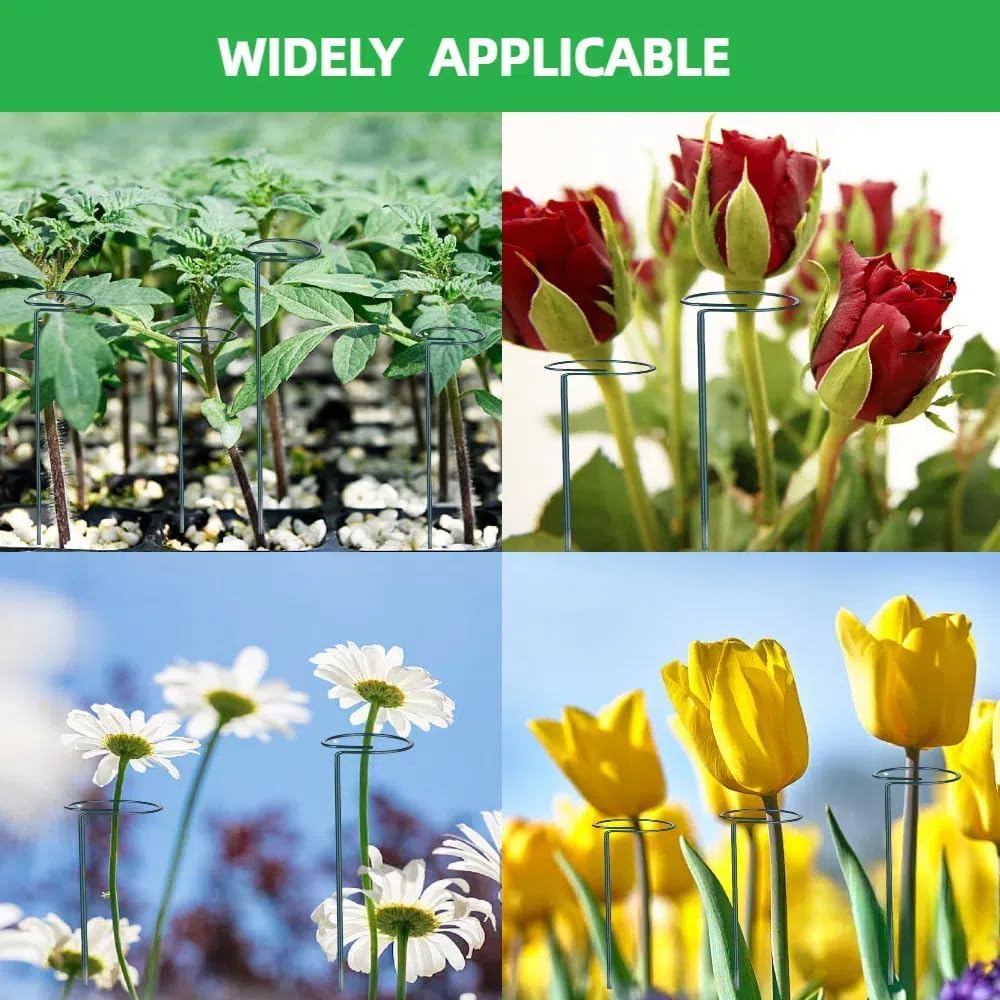 4-Pack Adjustable Plant Support Stakes - Heights: 12"/24"/36" - Stainless Steel & Deep Green - Plant Stakes for Indoor