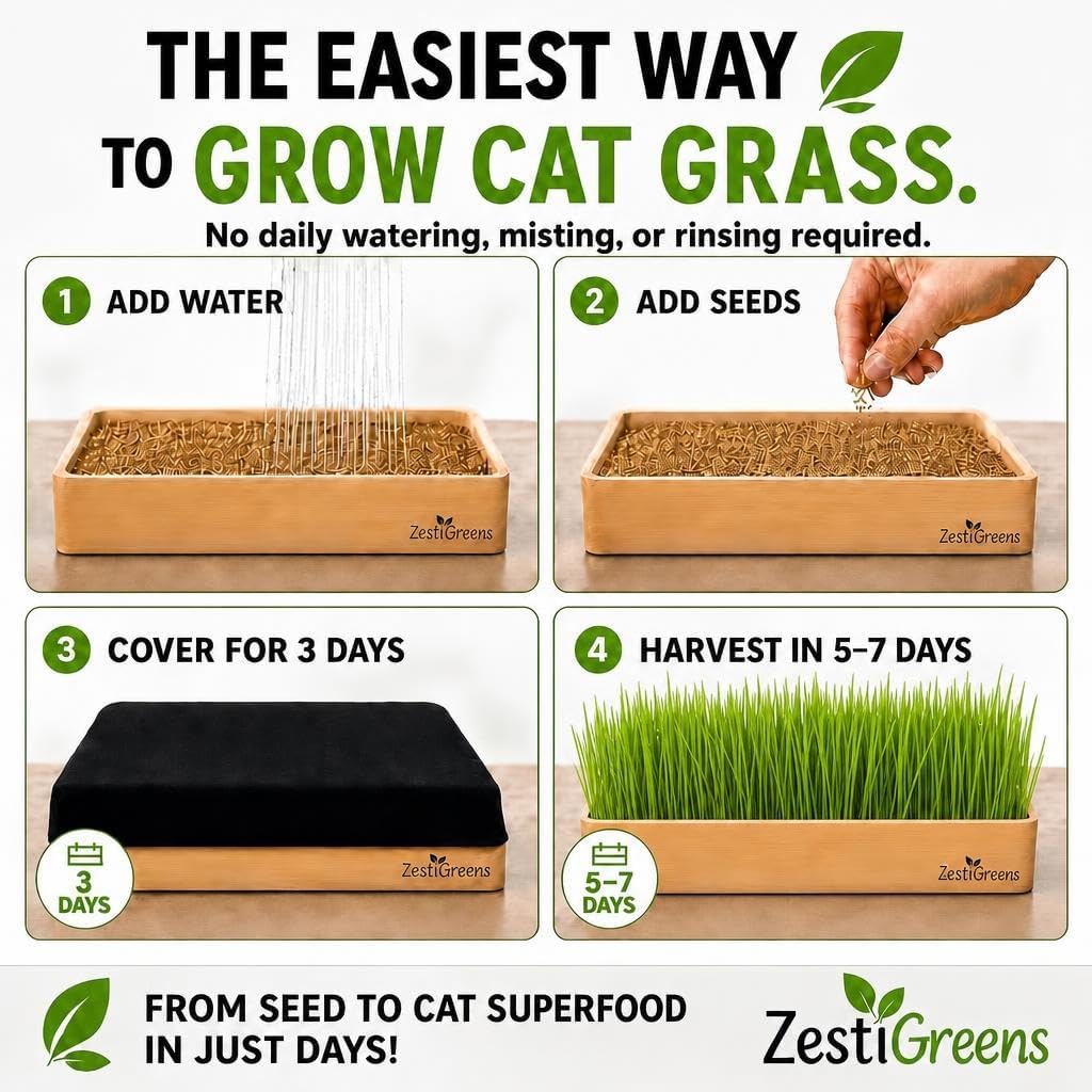 Cat Grass for Indoor Cats - Self-Watering Cat Grass Planter Kit | Reusable no-soil self-watering planter grows fresh