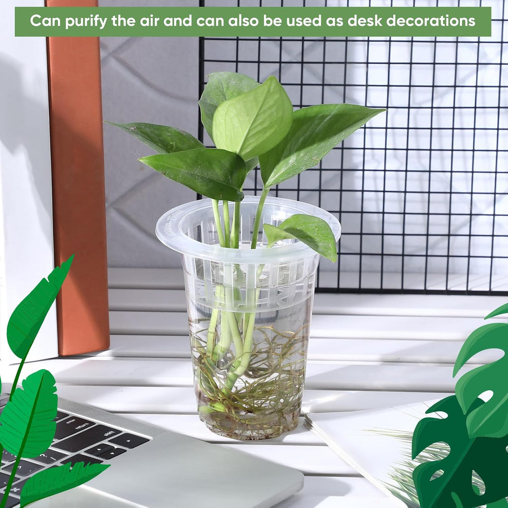 36 Pcs Plastic Plant Propagation Vase for Indoor Decor, 4.57'' | Clear Plastic Vase with Hydroponic Basket, Pet