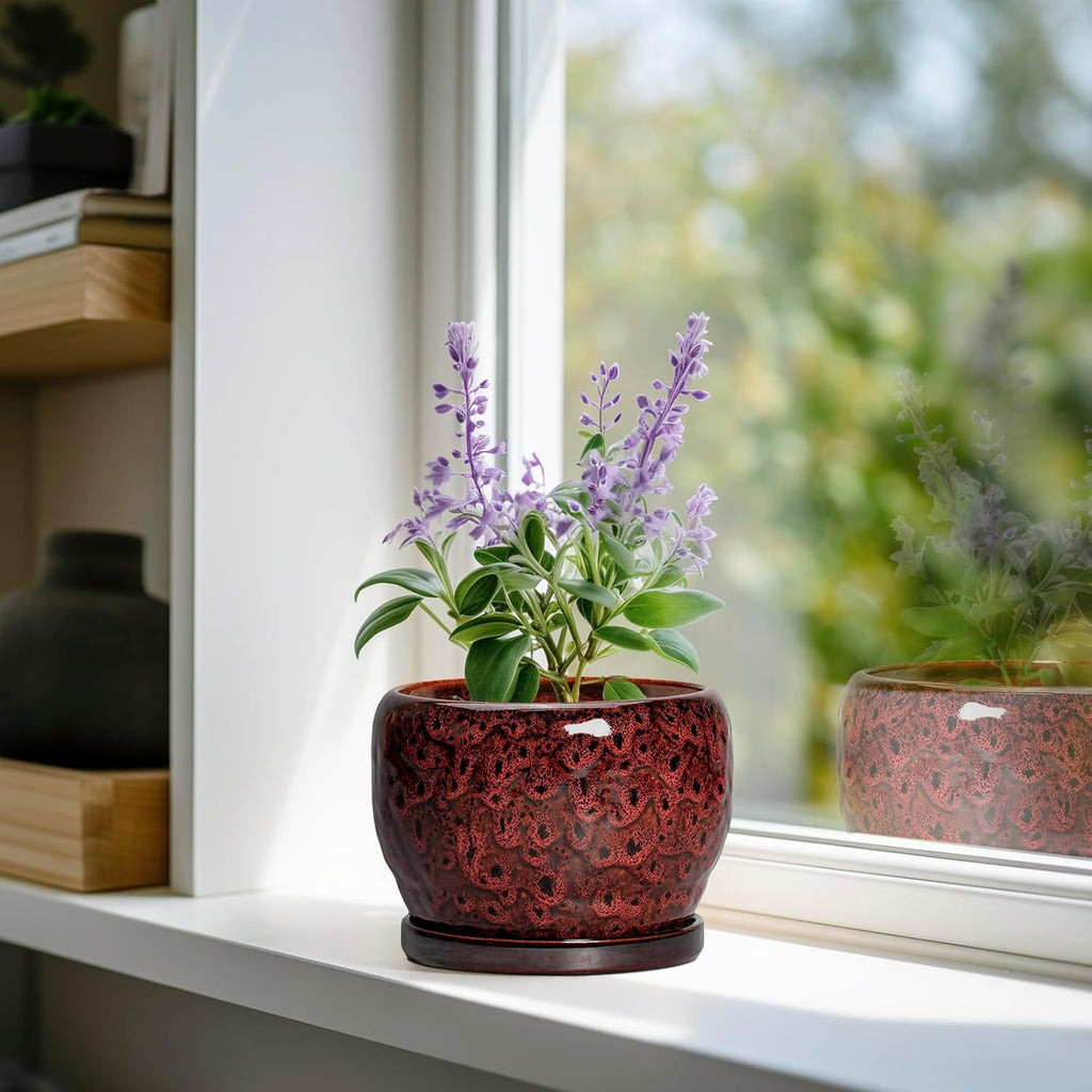 SQOWL Ceramic Pot for Plants - 6 Inch Plant Pot Indoor with Drainage Hole and Saucer, Decorative Flower Pot Outdoor