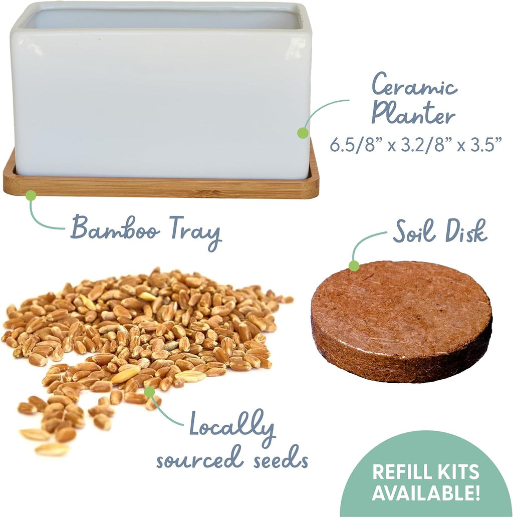 The Cat Ladies Organic Cat Grass Growing kit with Organic Seed Mix, Soil and Ceramic Planter with Bamboo Tray. Natural