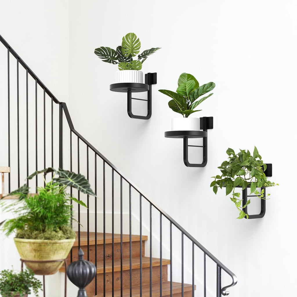 Wall Plant Holder, 7.9 Inch Large Hanging Plant Holder Wall Planters for Indoor Plants, Wall Mounted Plant Holder