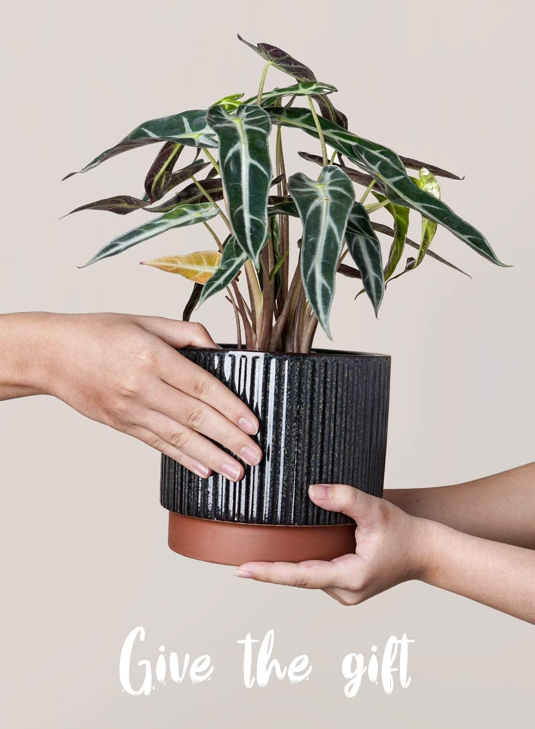 LE TAUCI Ceramic Plant Pots with Drainage Holes, Set of 3, 8+6.7+5.5 Inch Stripe Garden Planter Pots for Outdoor Indoor