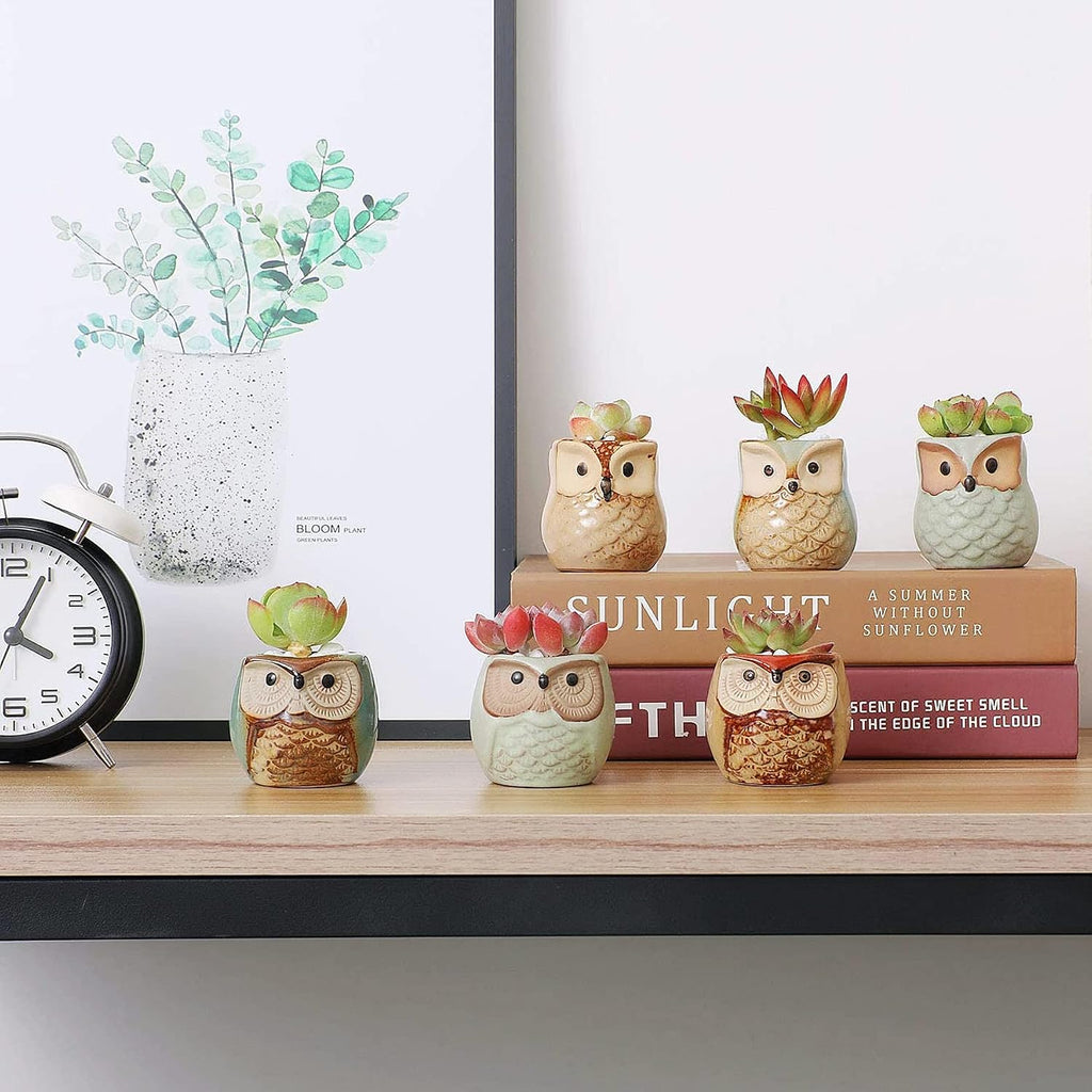 T4U Owl Succulent Pots, Mini Ceramic Gift Planter Set with Drainage 12 Pack | Cute owl design containers, for live